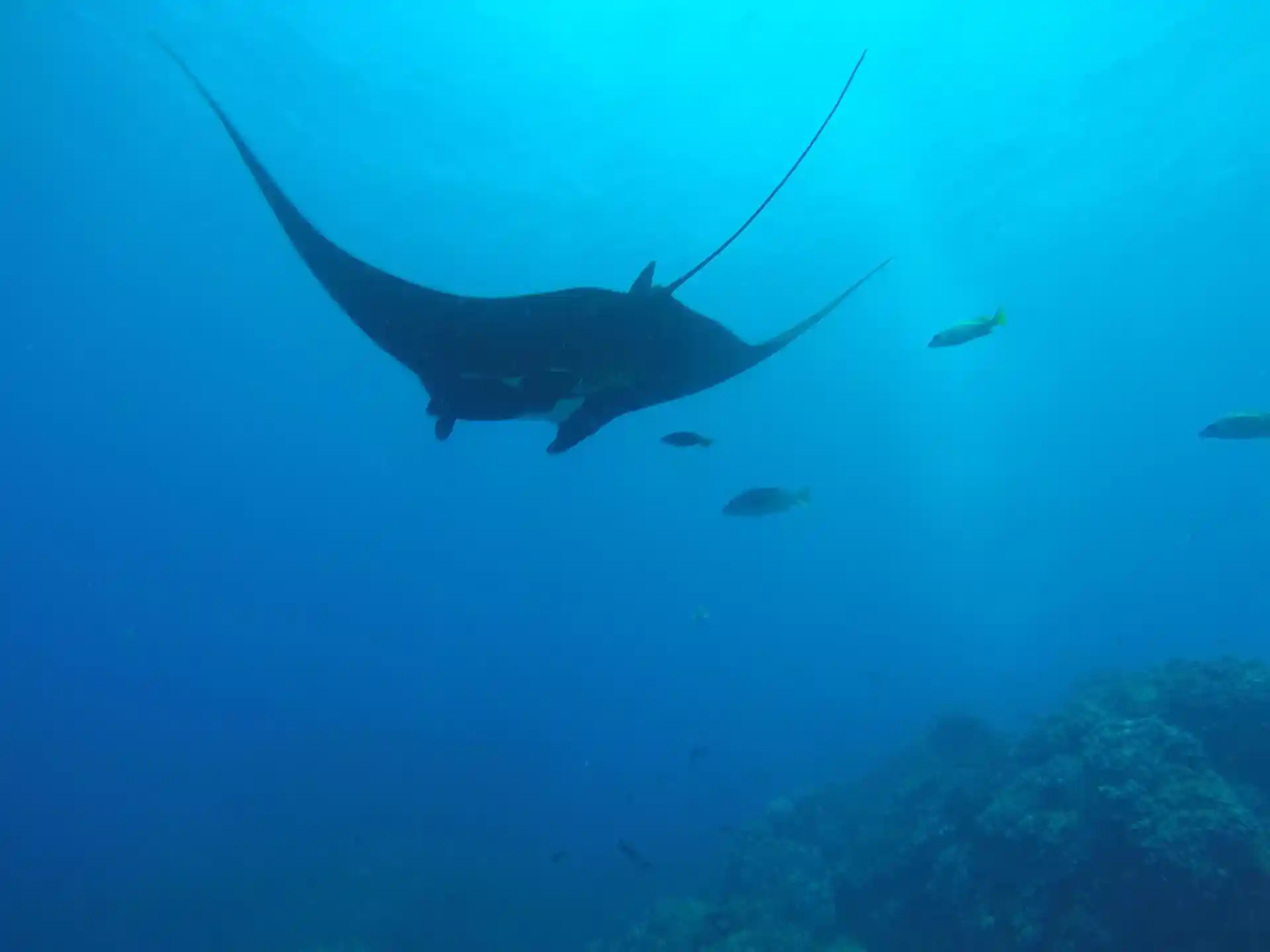 Foto del sitio de buceo