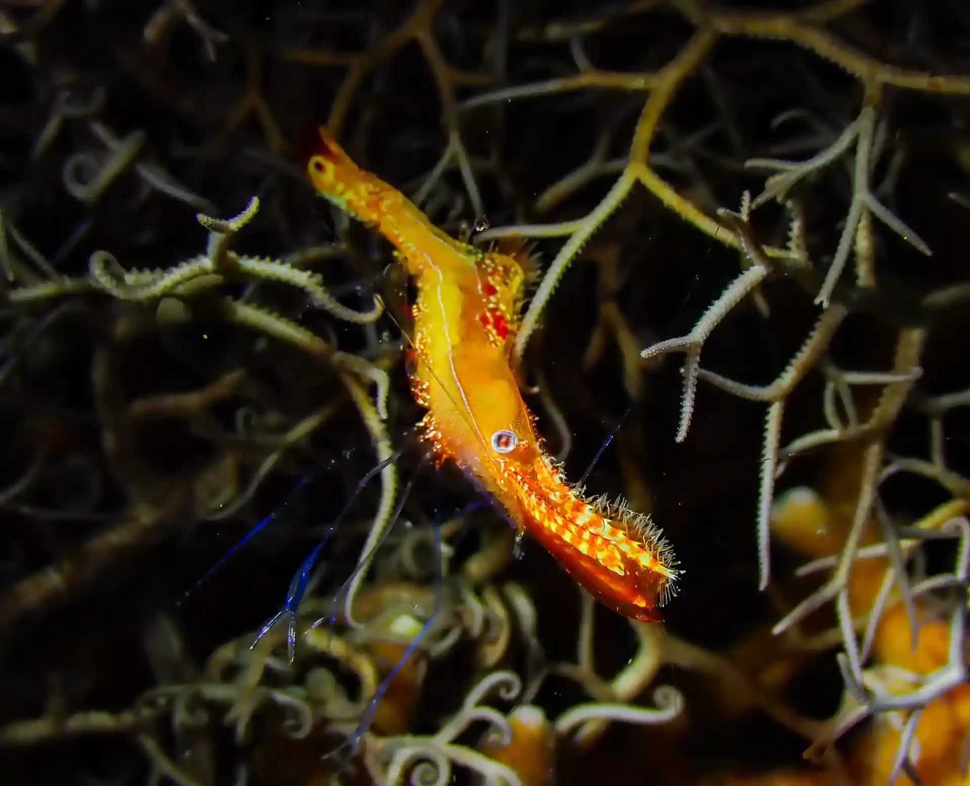 Foto des Tauchplatzes