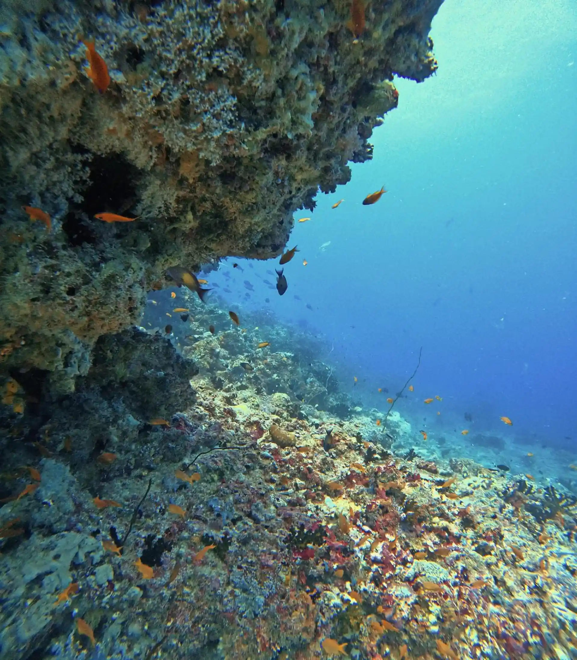 Dive site photo