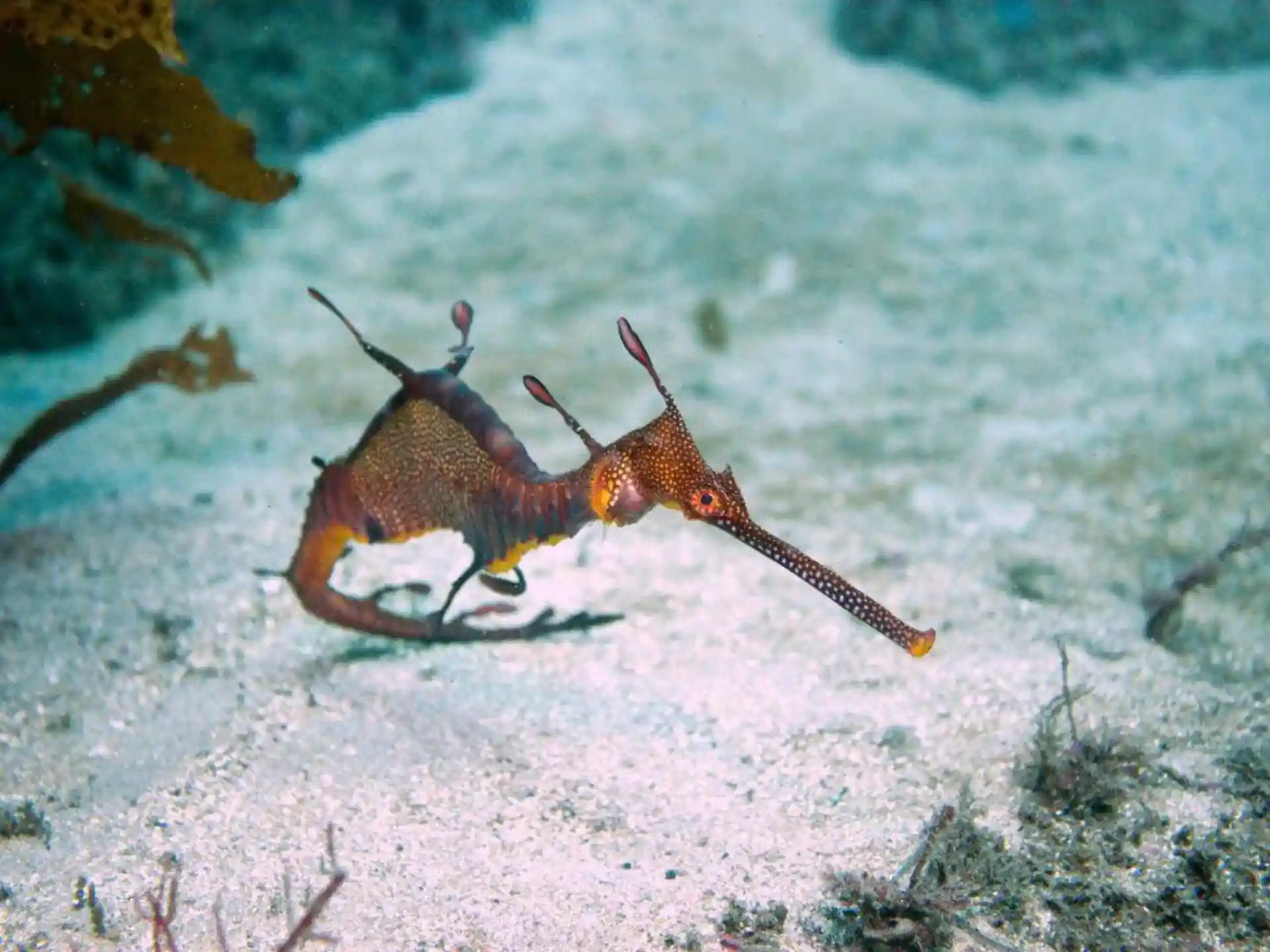 Dive site photo