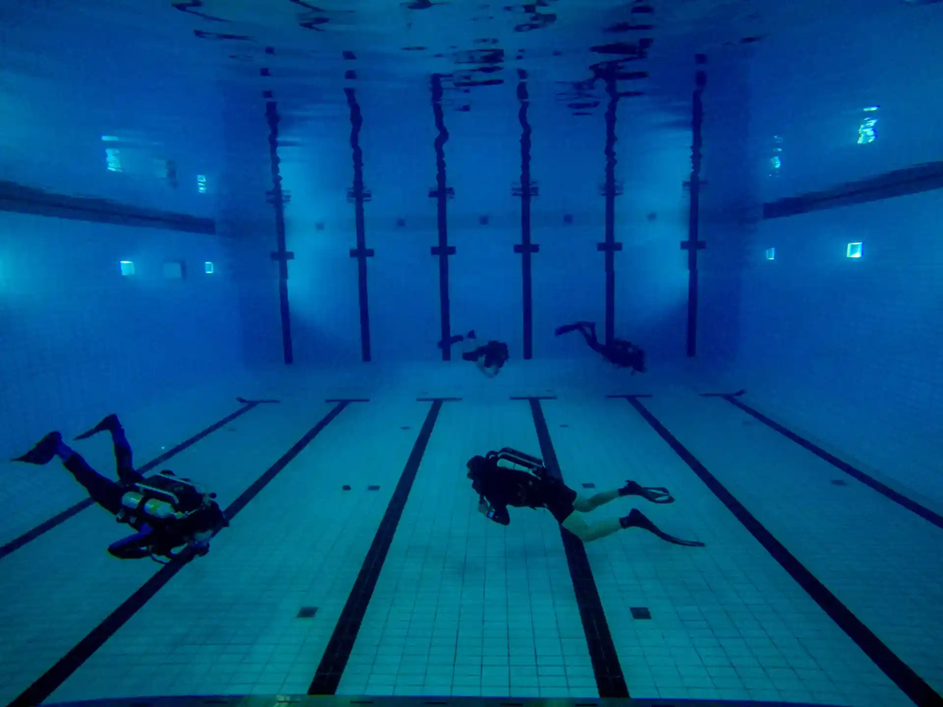 Foto de la actividad