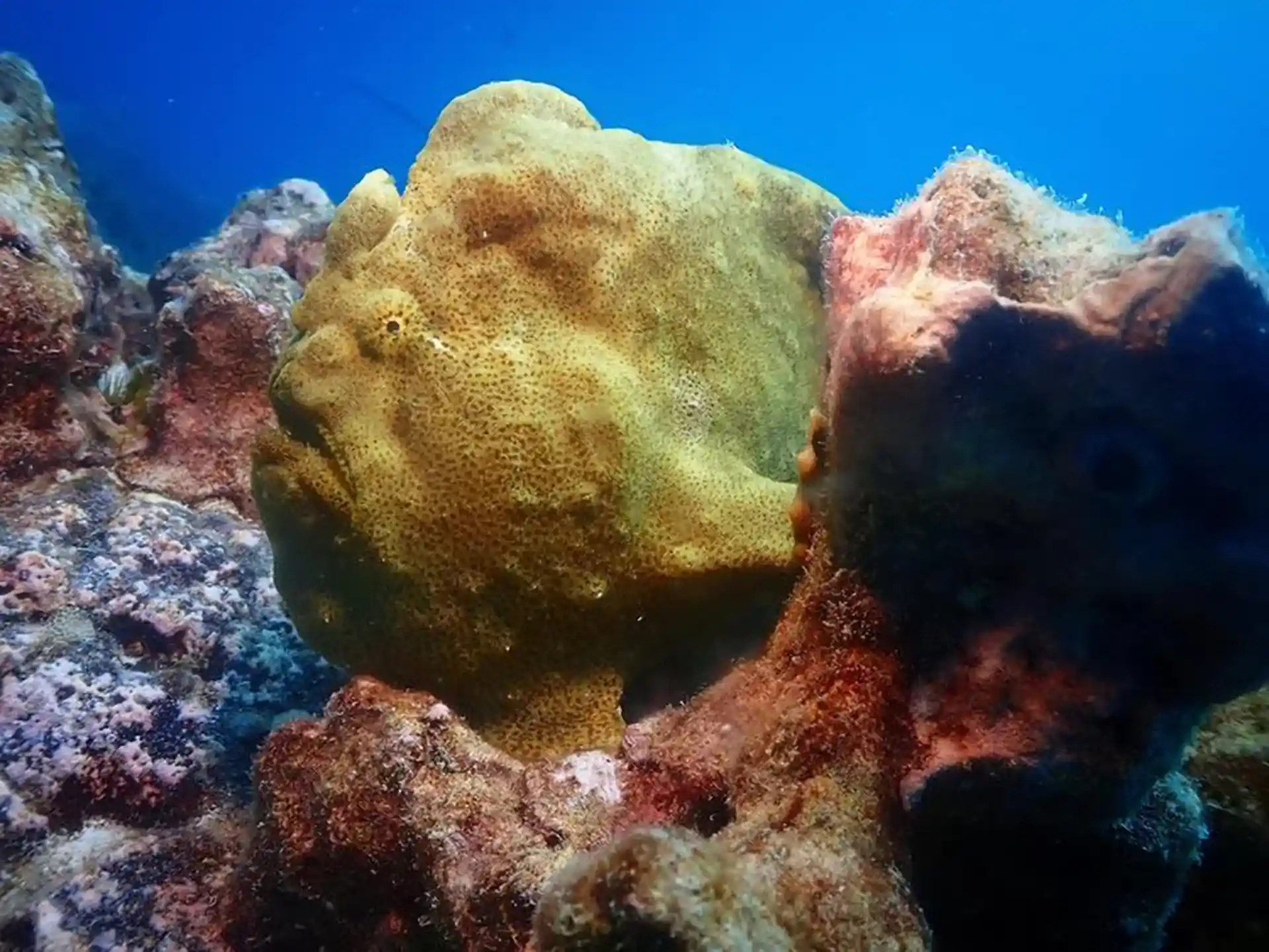 Dive shop photo