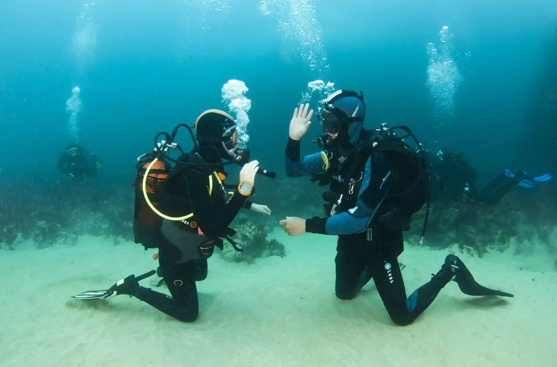 Activity photo