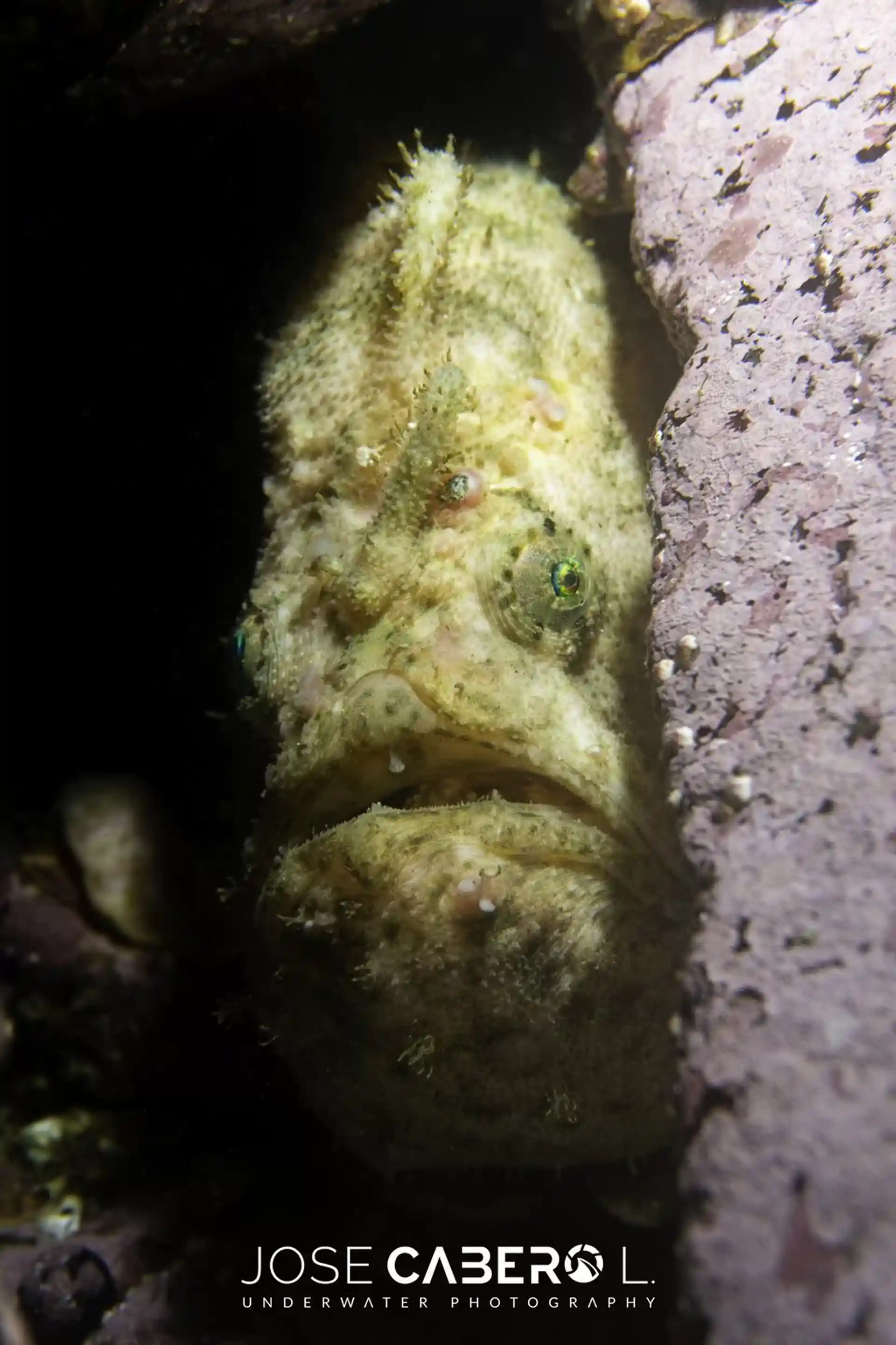 Photo du site de plongée