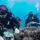 Talayong Slope ダイビングサイト | PADI