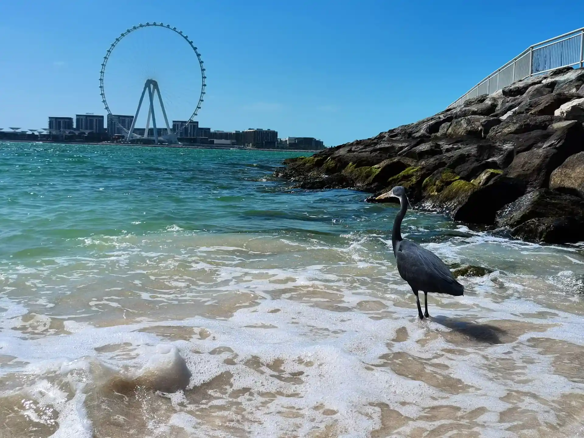 Foto del sitio de buceo