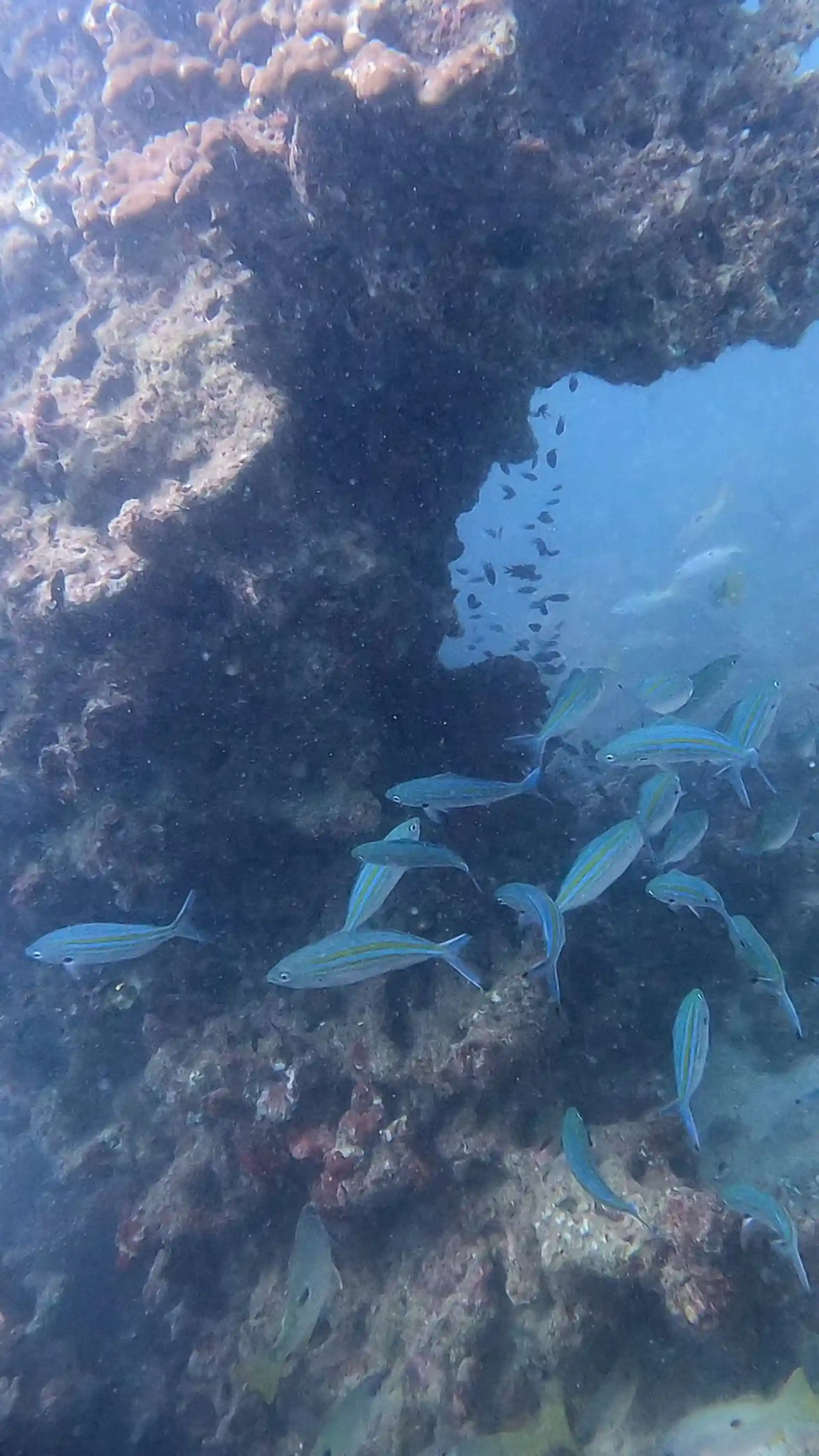 Dive site photo