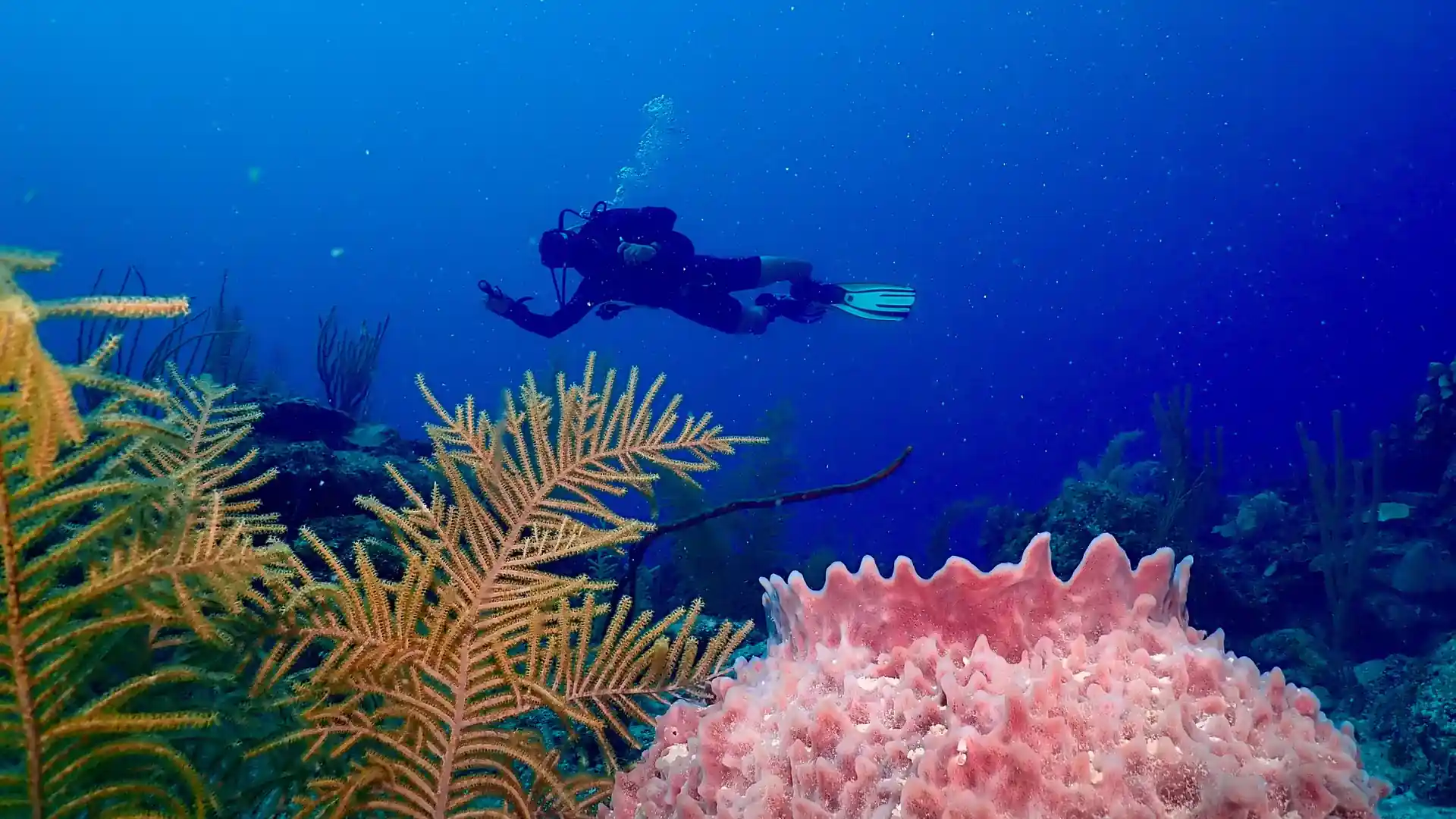 Photo de l'activité