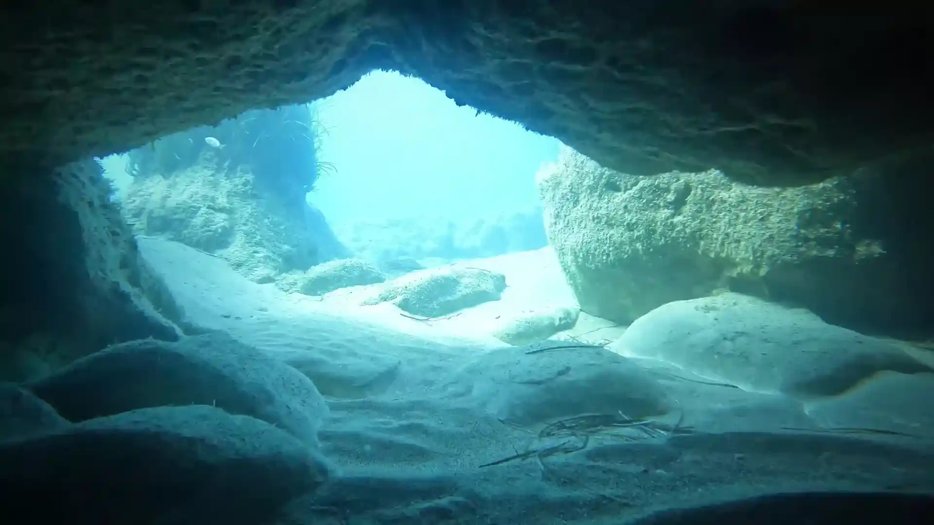 Dive site photo