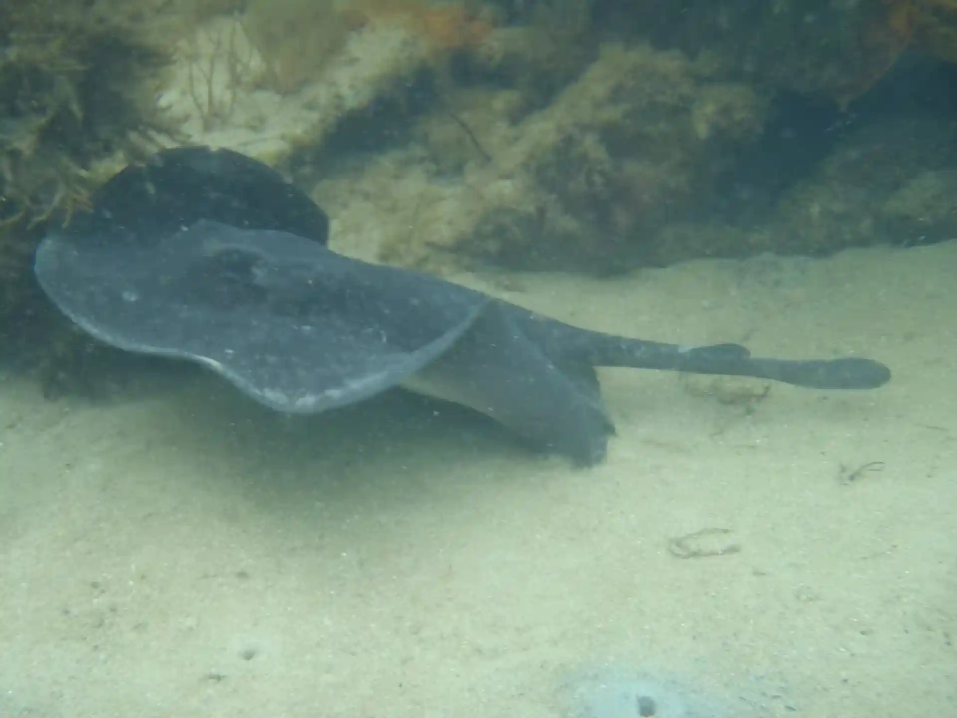 다이빙 포인트 사진