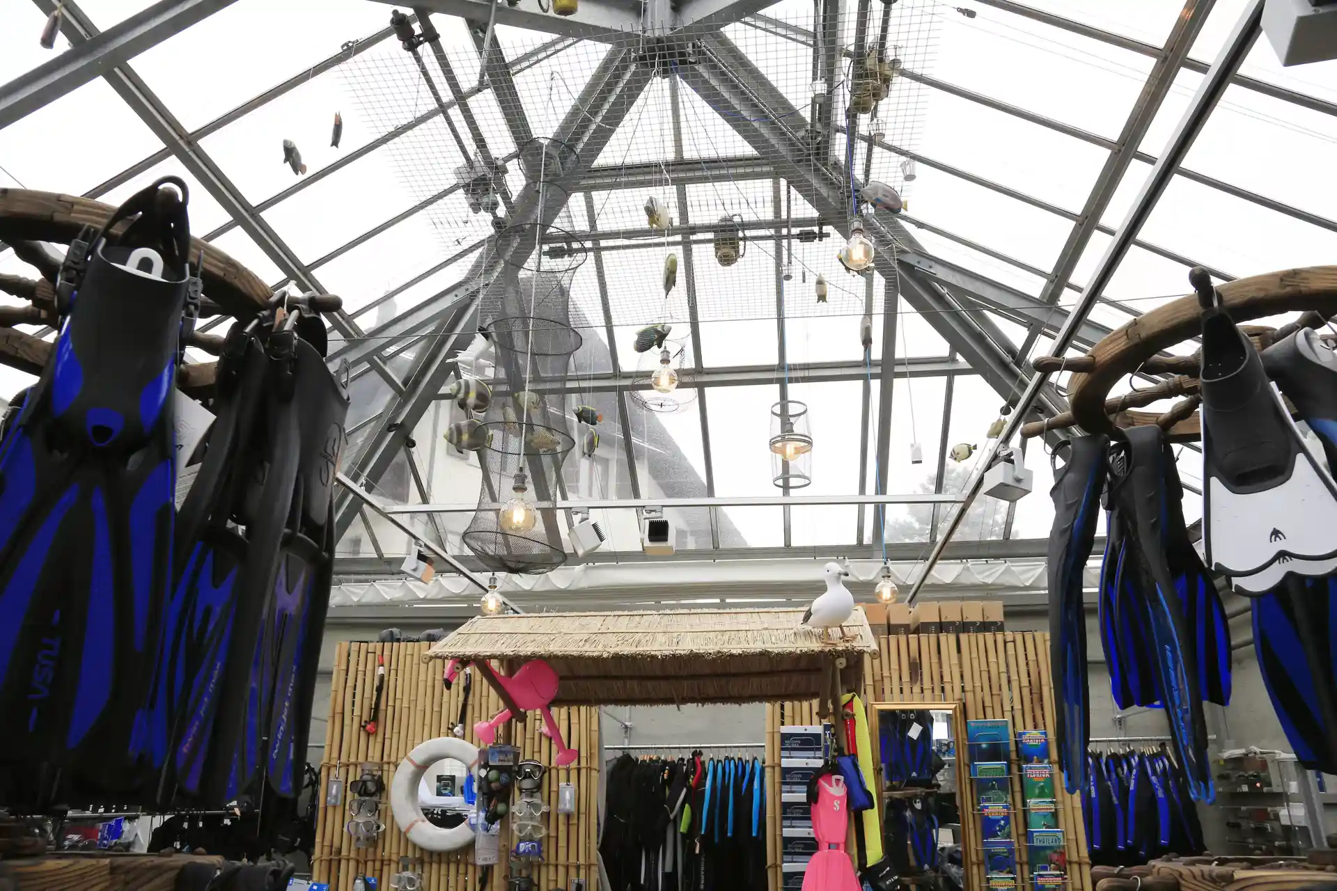 Dive shop photo