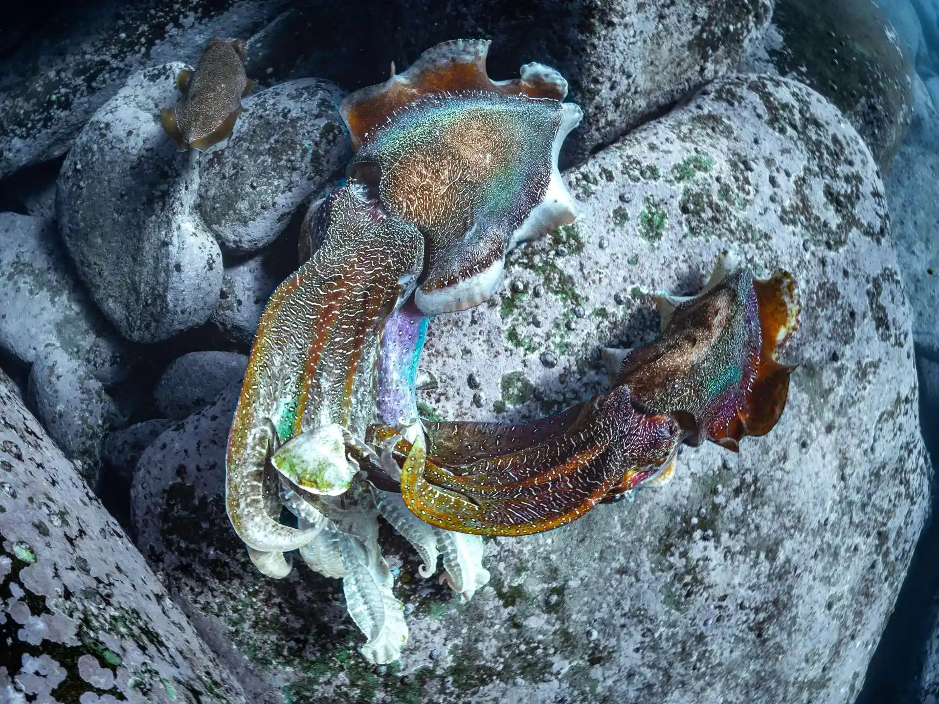 Dive site photo