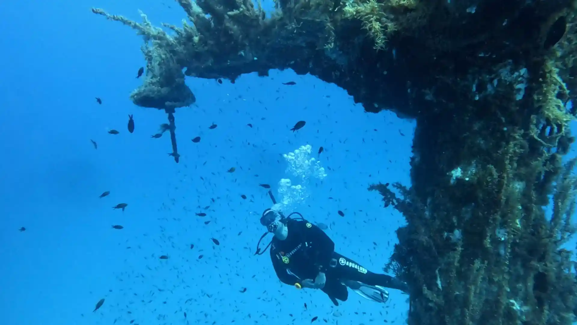 Exploring the P29 wreck