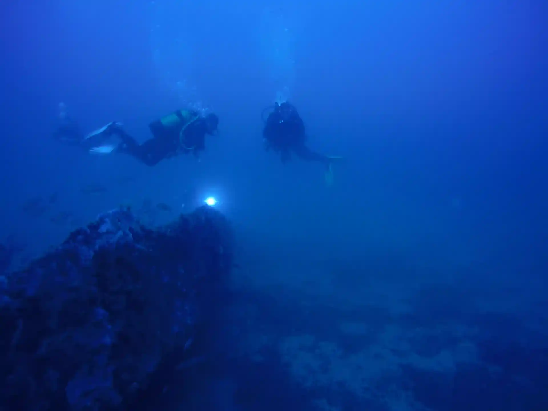 Foto de la actividad