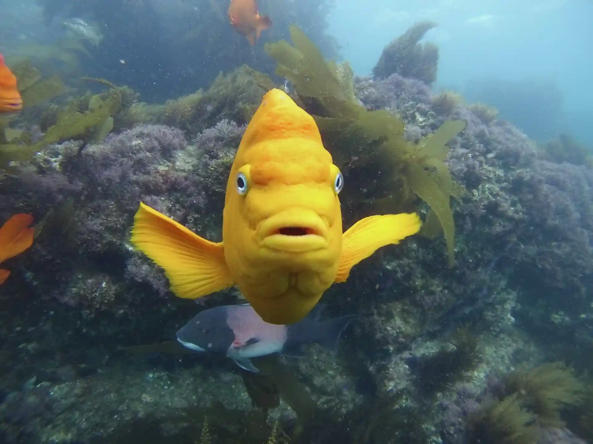 Dive site photo