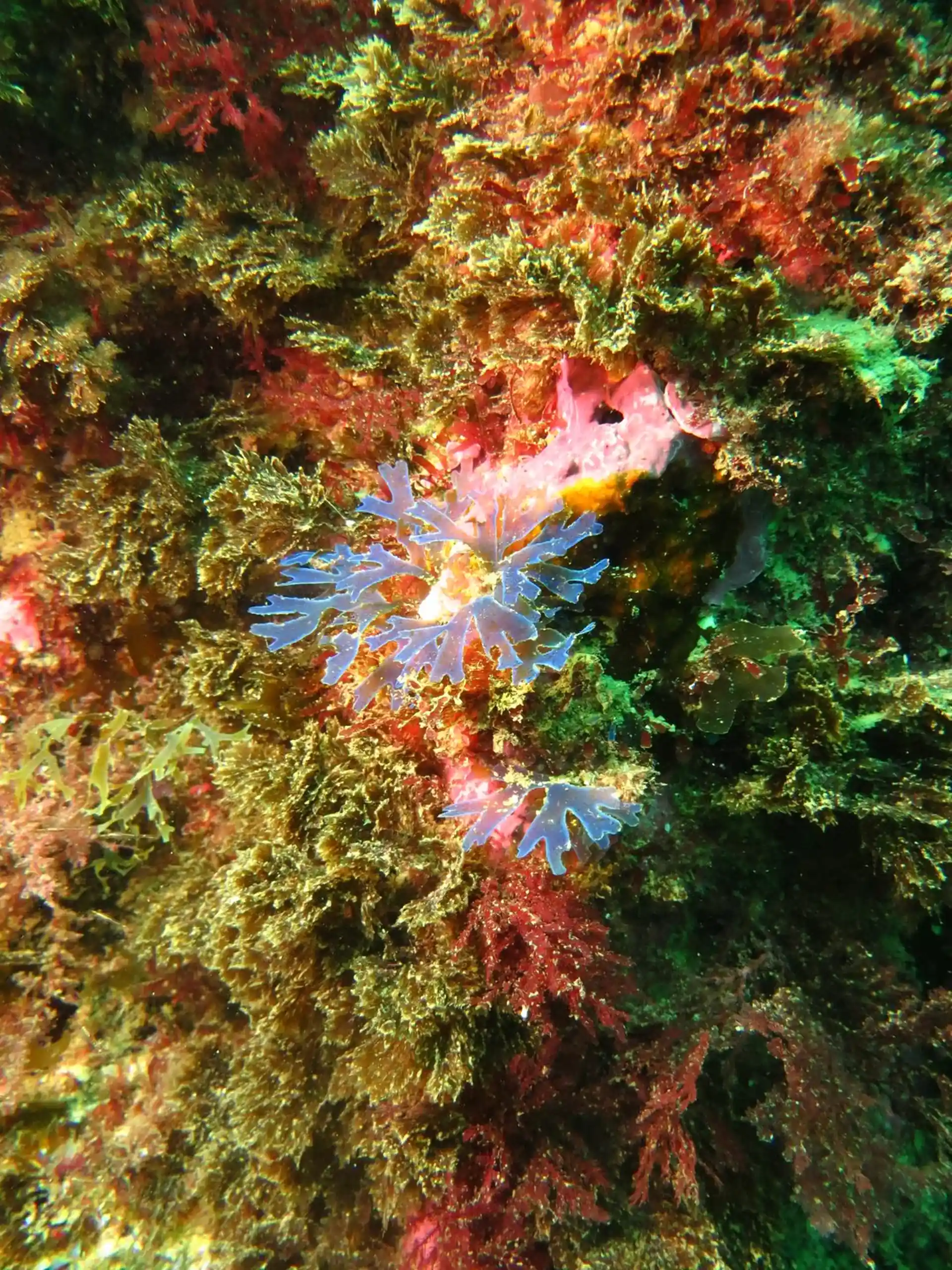 Foto des Tauchplatzes