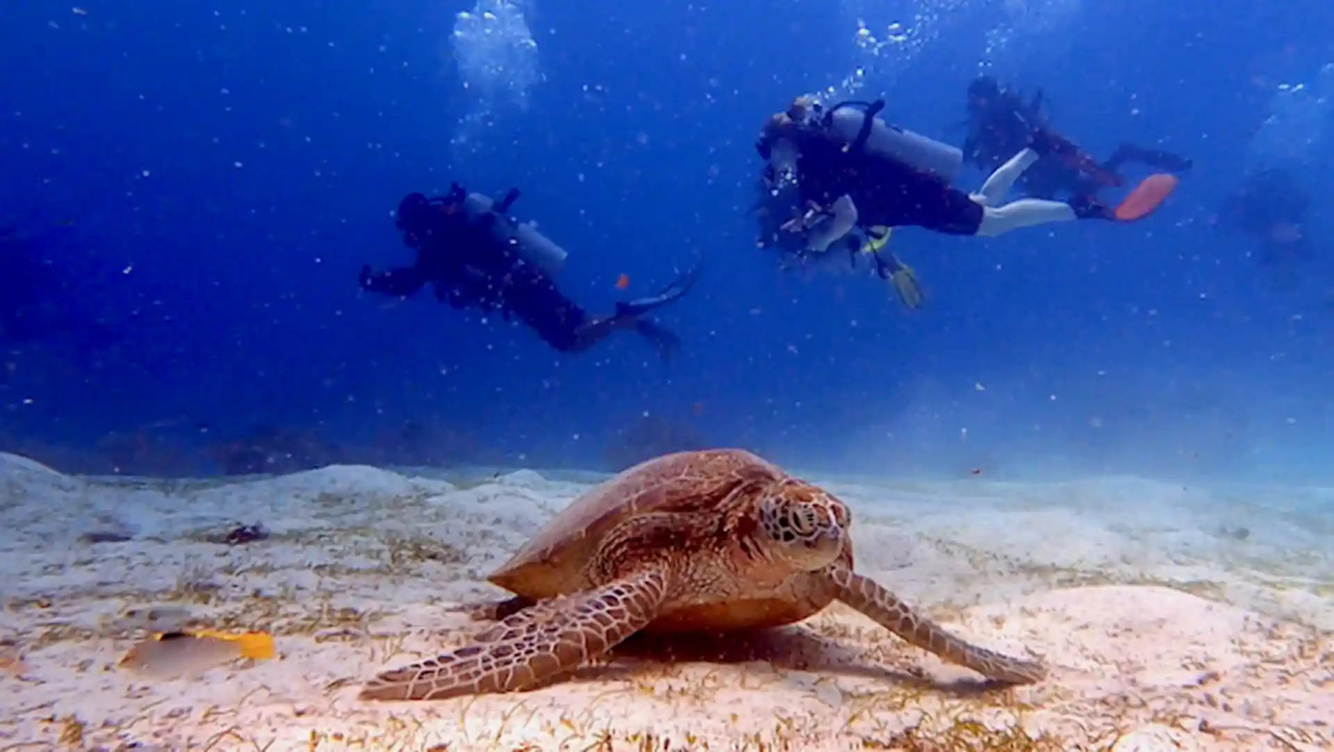 Dive site photo