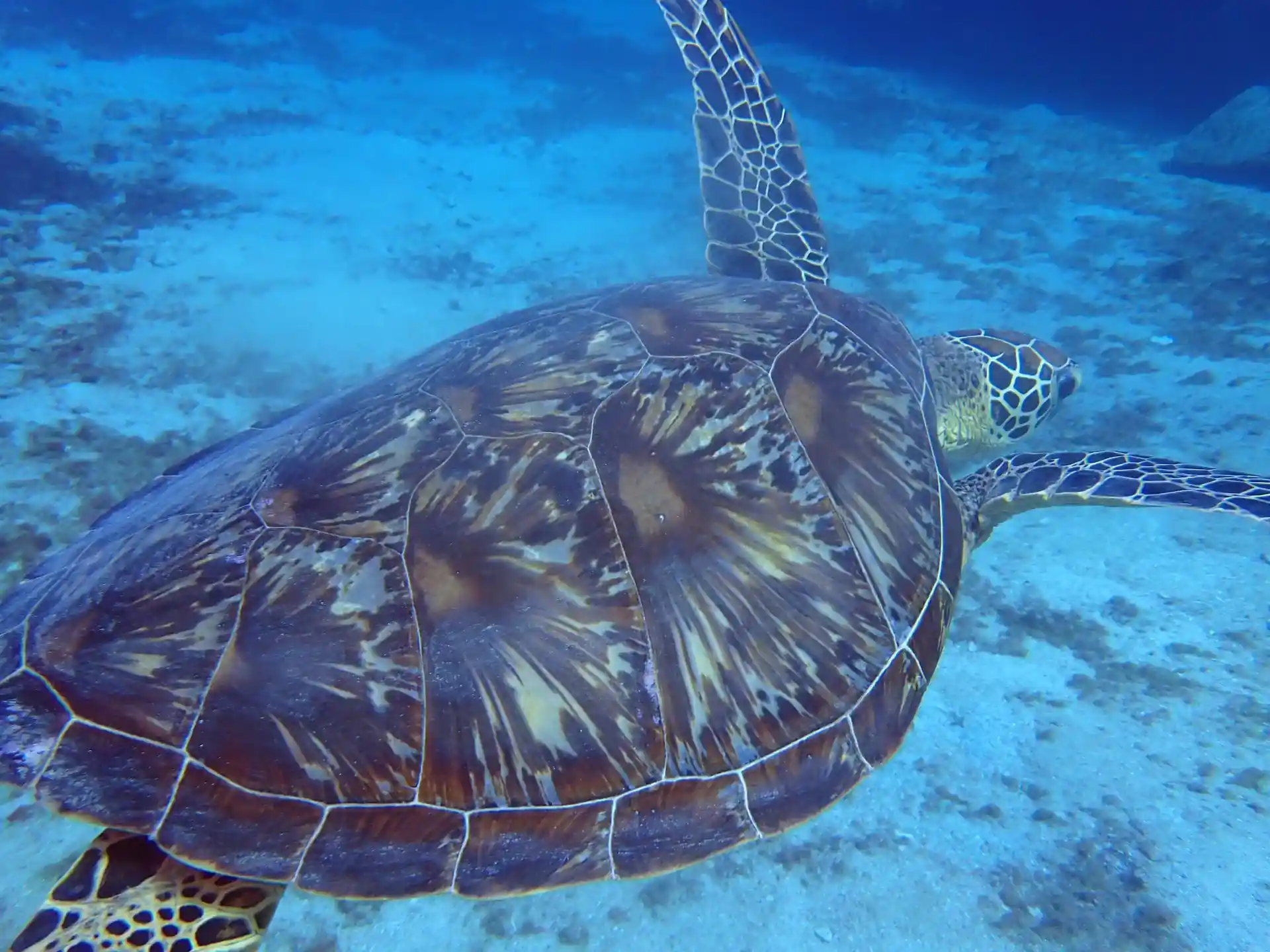 Dive site photo