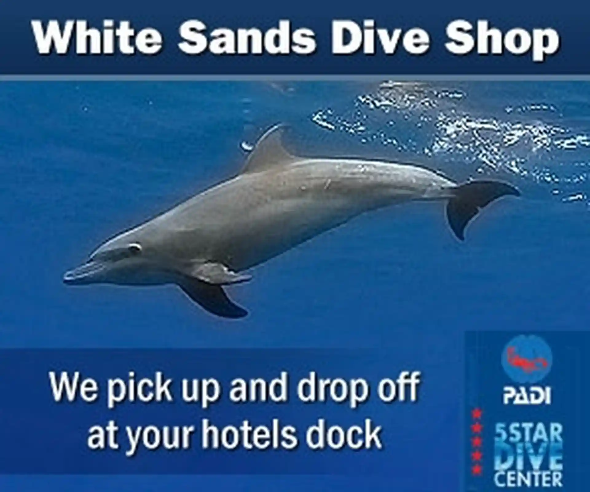 Dive shop photo