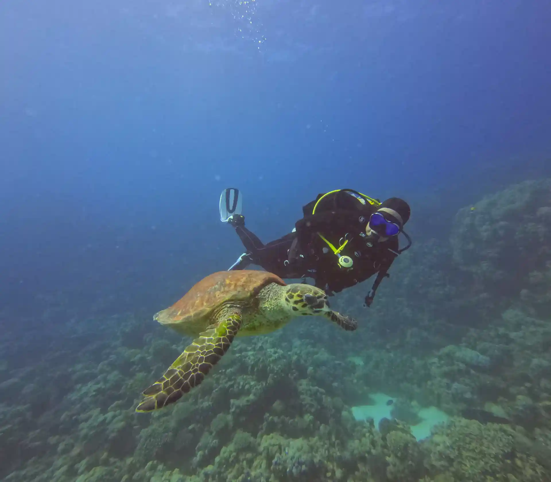 Foto de la actividad