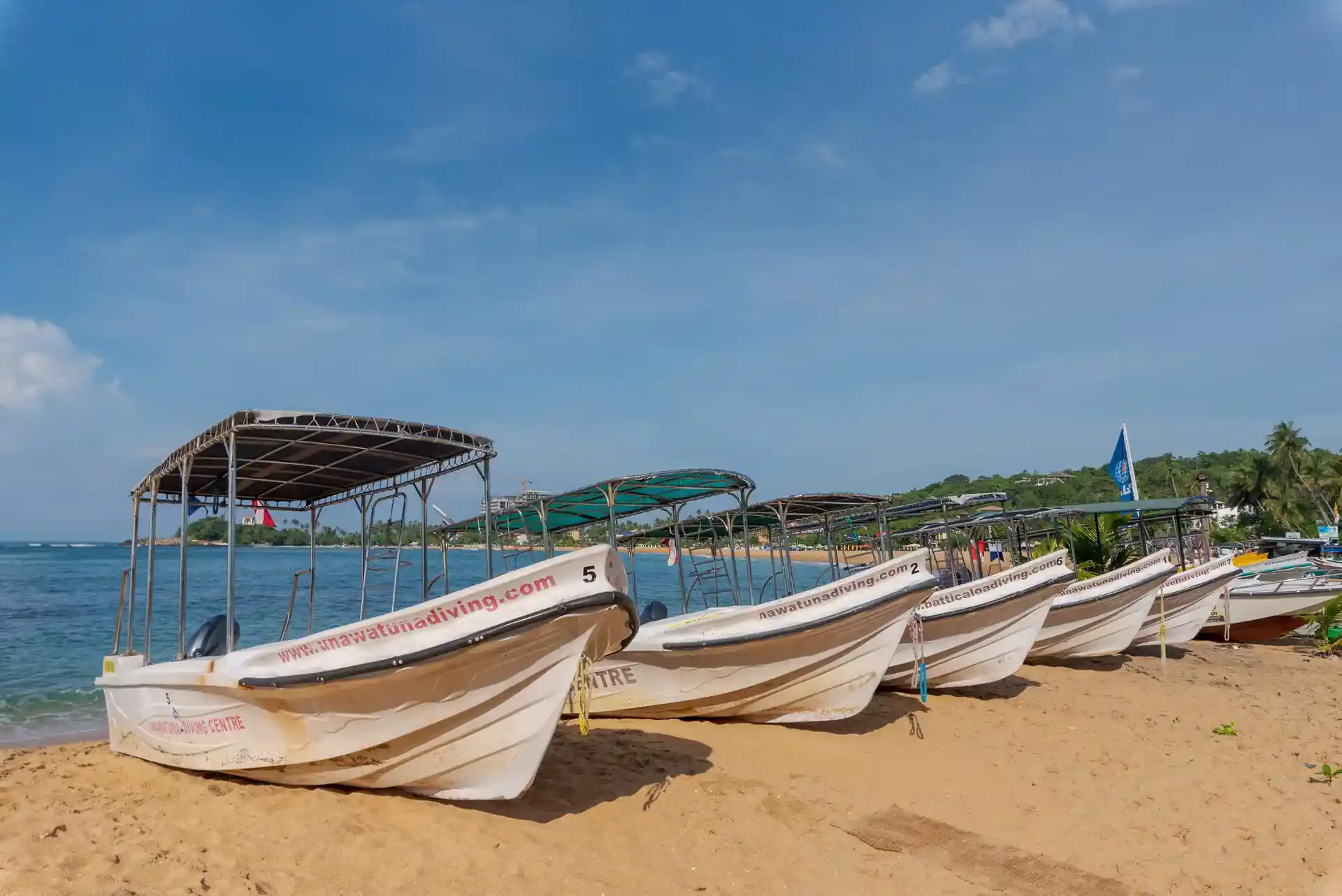 Dive in Sri Lanka! Dive with us.