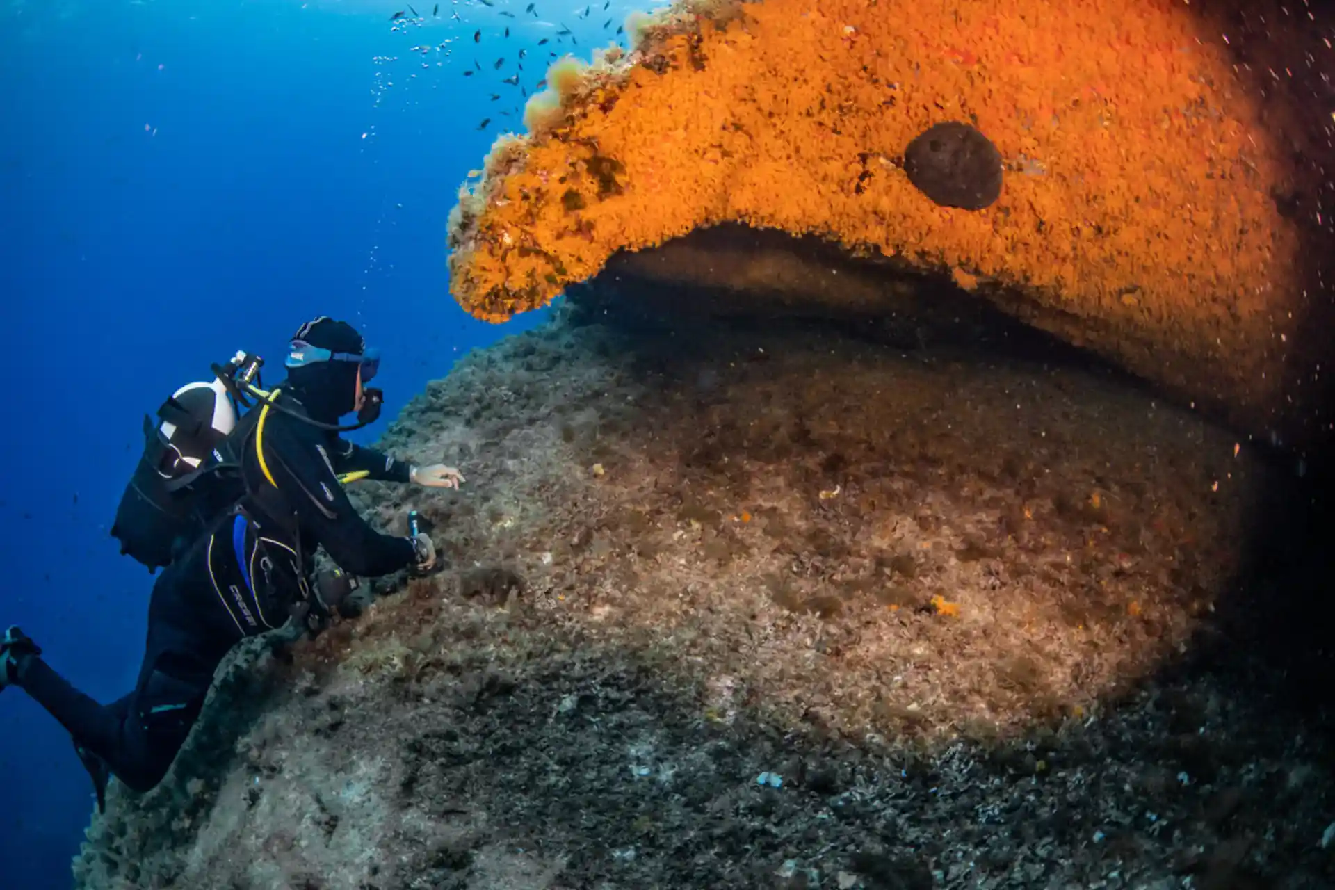 Dive site photo