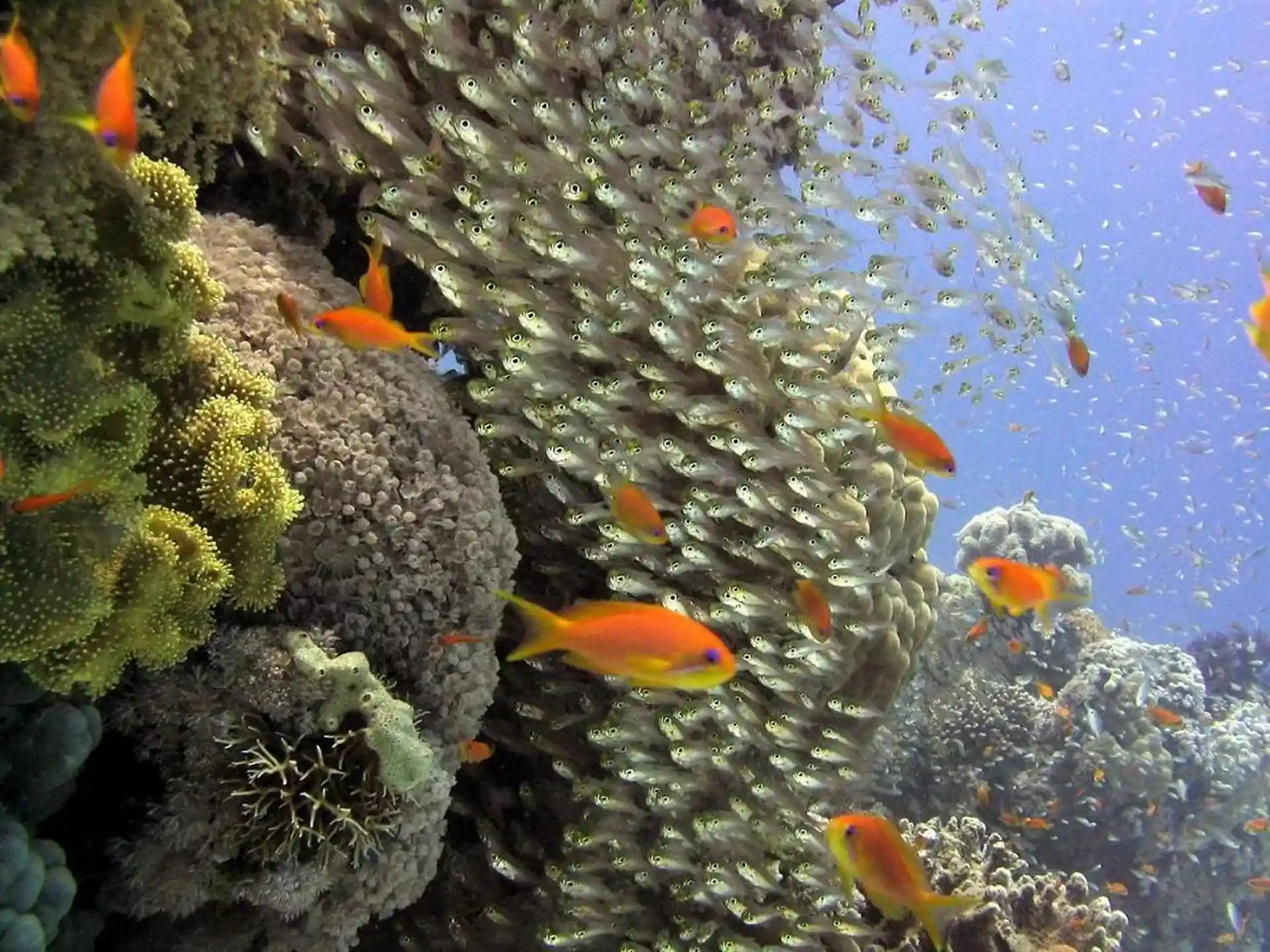 Dive site photo