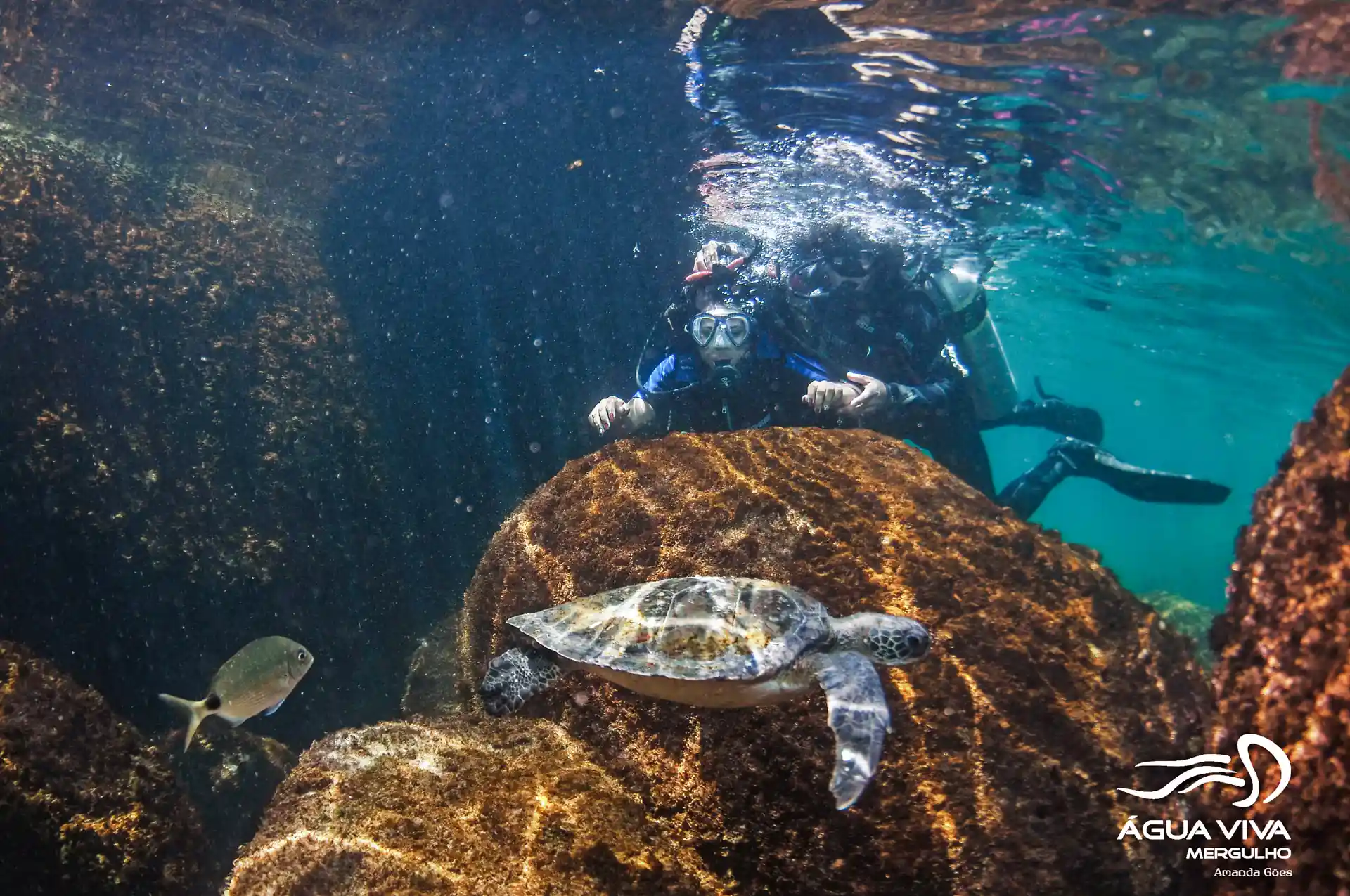 Dive shop photo