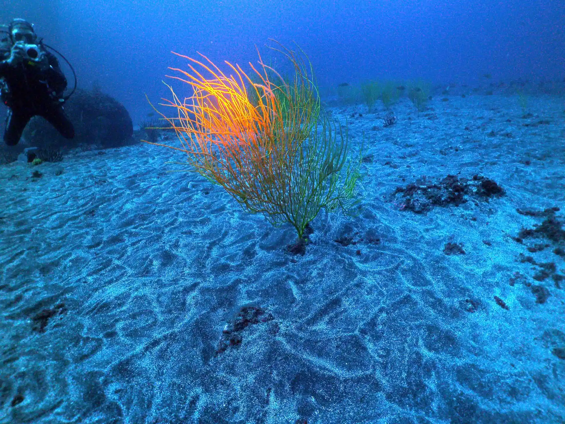 Foto des Tauchplatzes