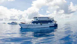 Dive operator picture