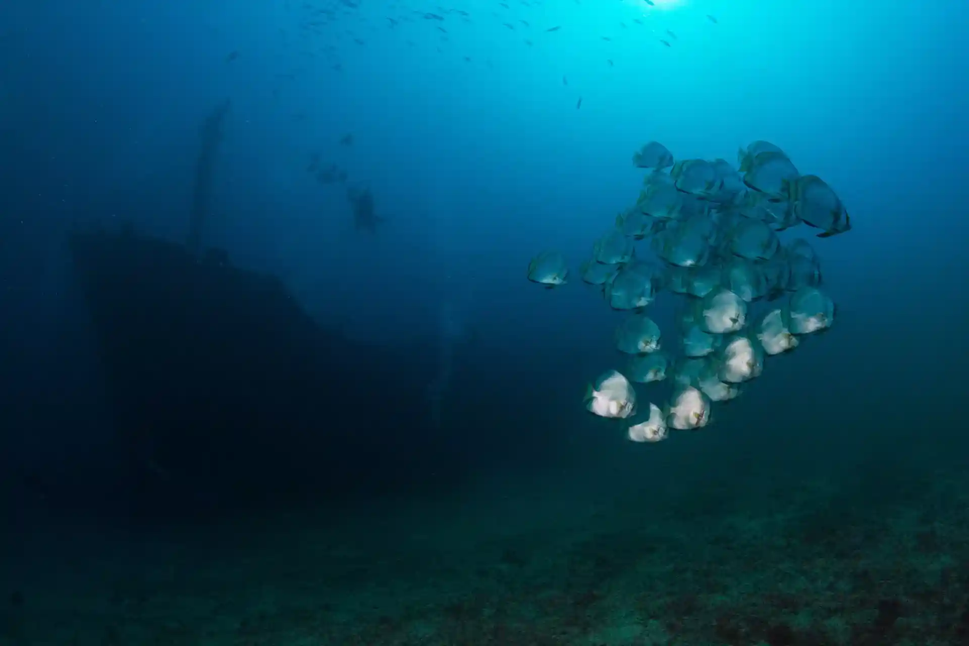 Foto des Tauchplatzes