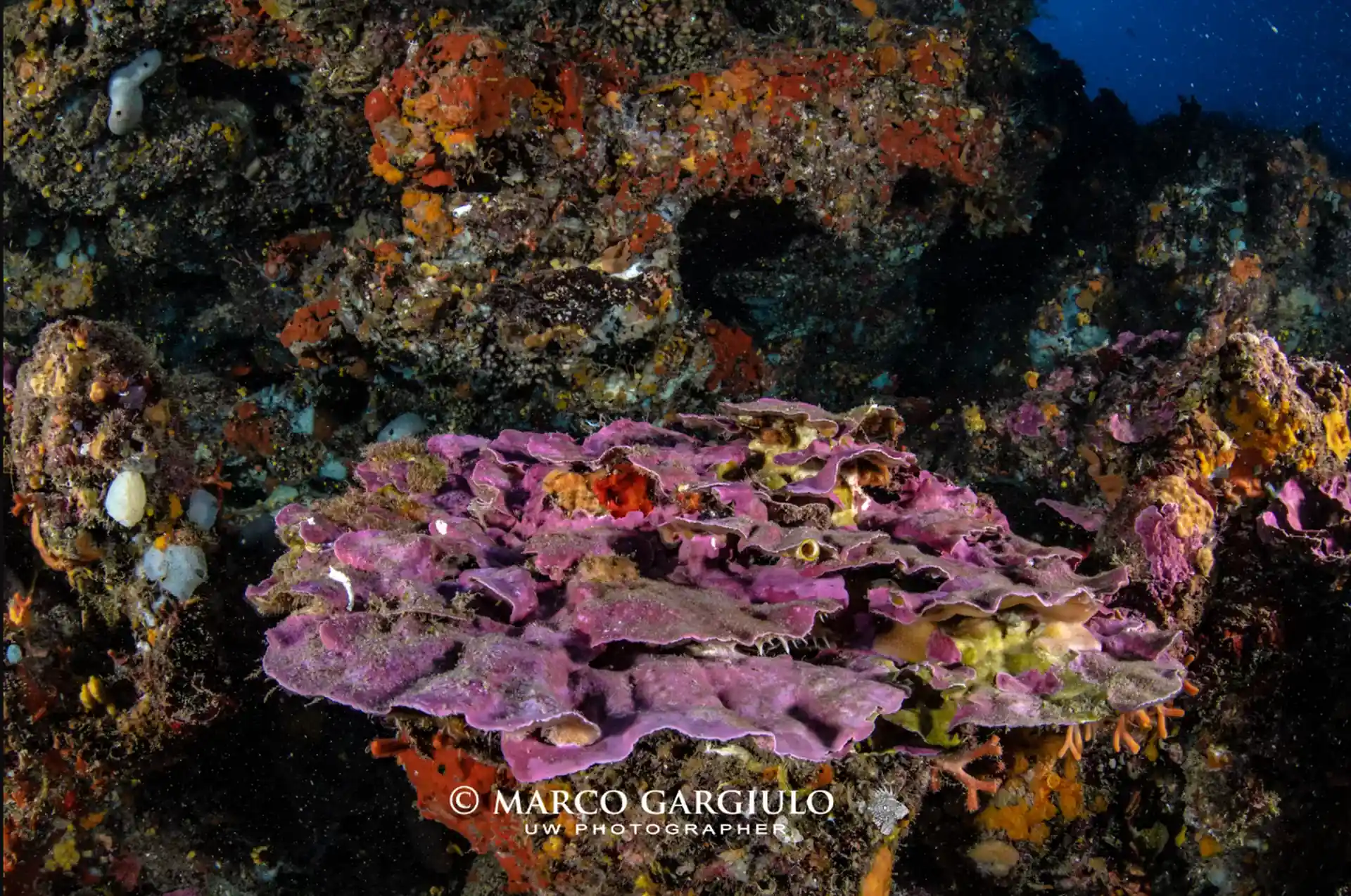 다이빙 포인트 사진