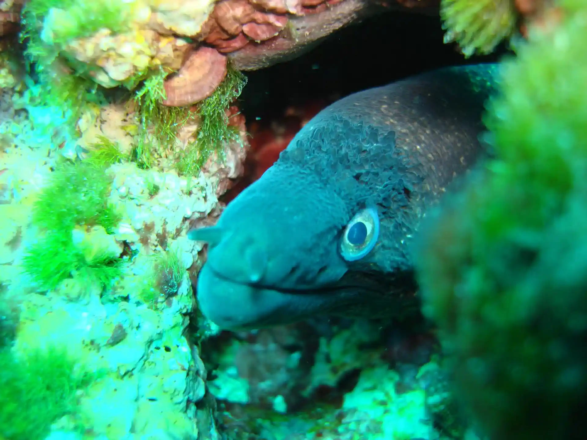 다이빙 포인트 사진