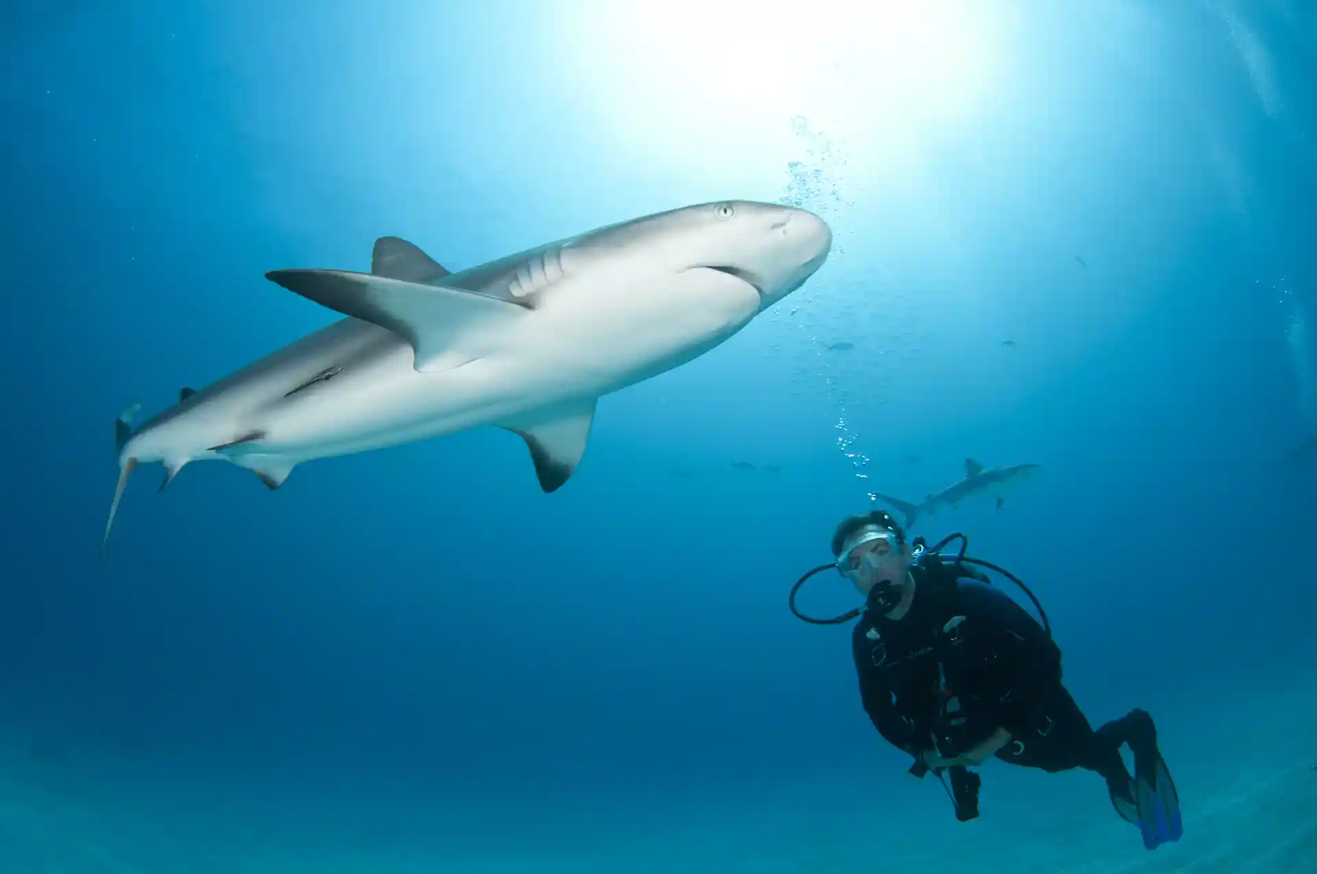 Dive shop photo