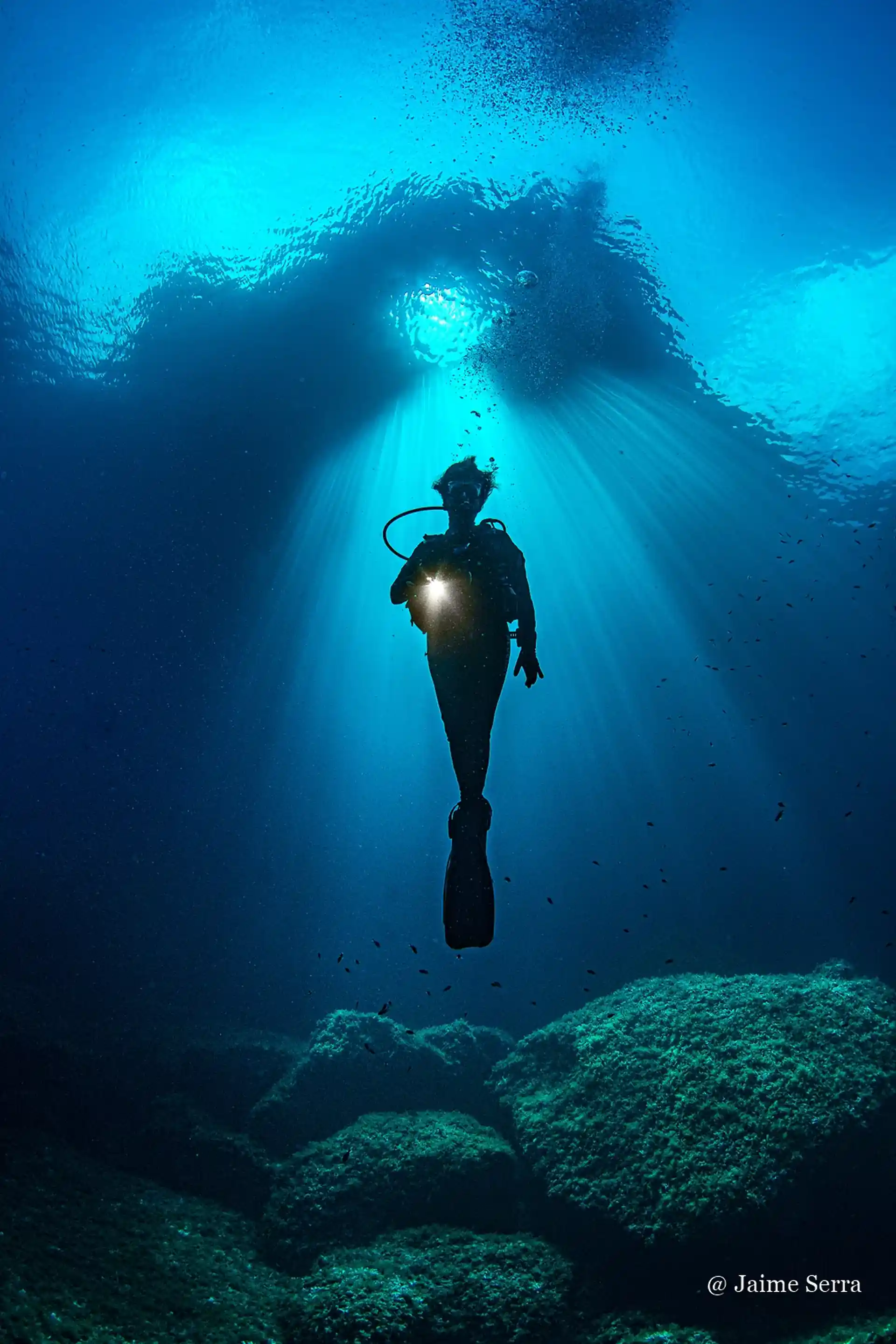 Foto de la actividad