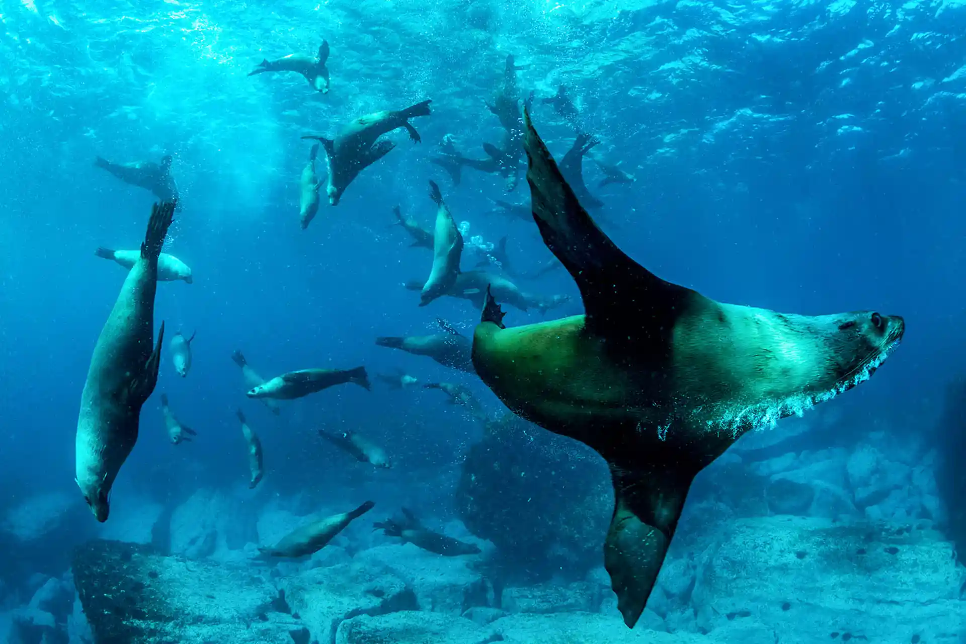 Dive site photo