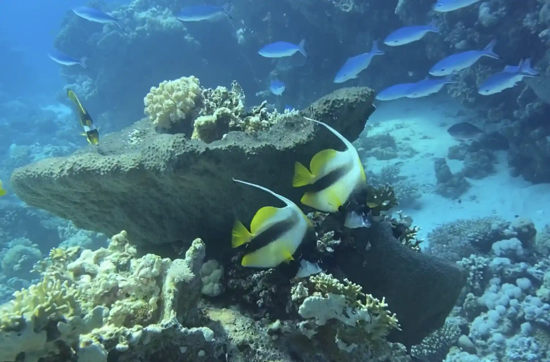 Dive shop photo