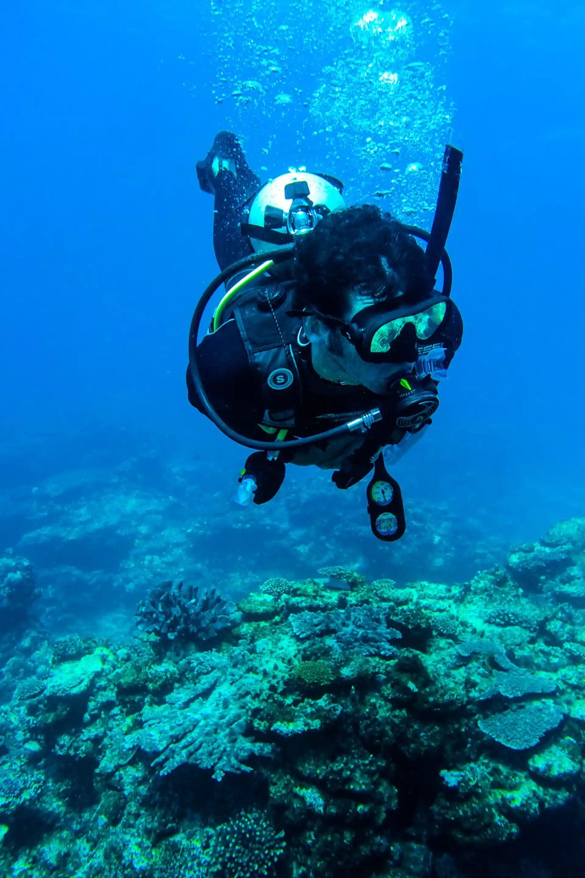 ダイビングサイトの写真