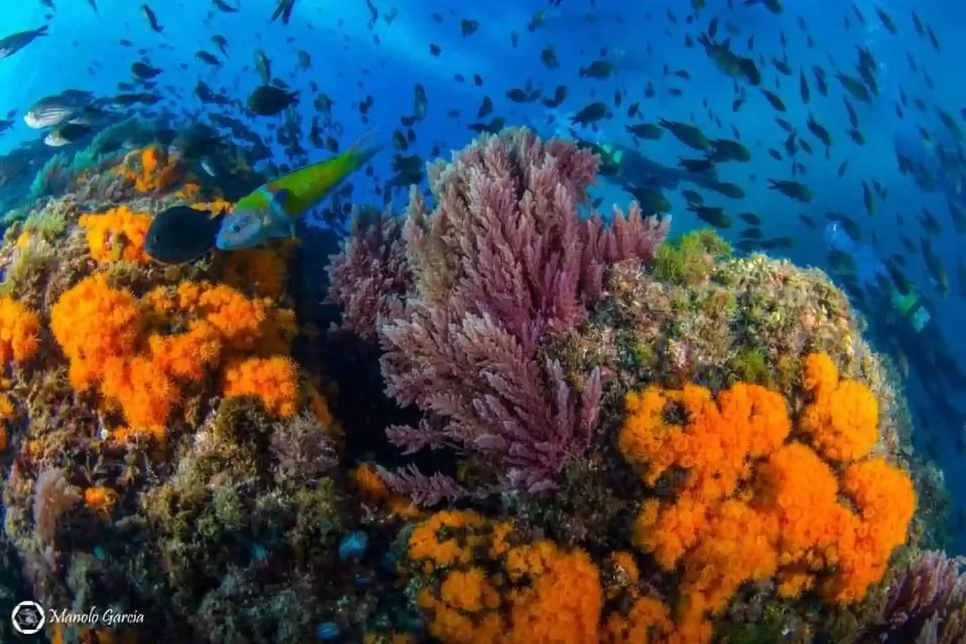 Foto de la tienda de buceo
