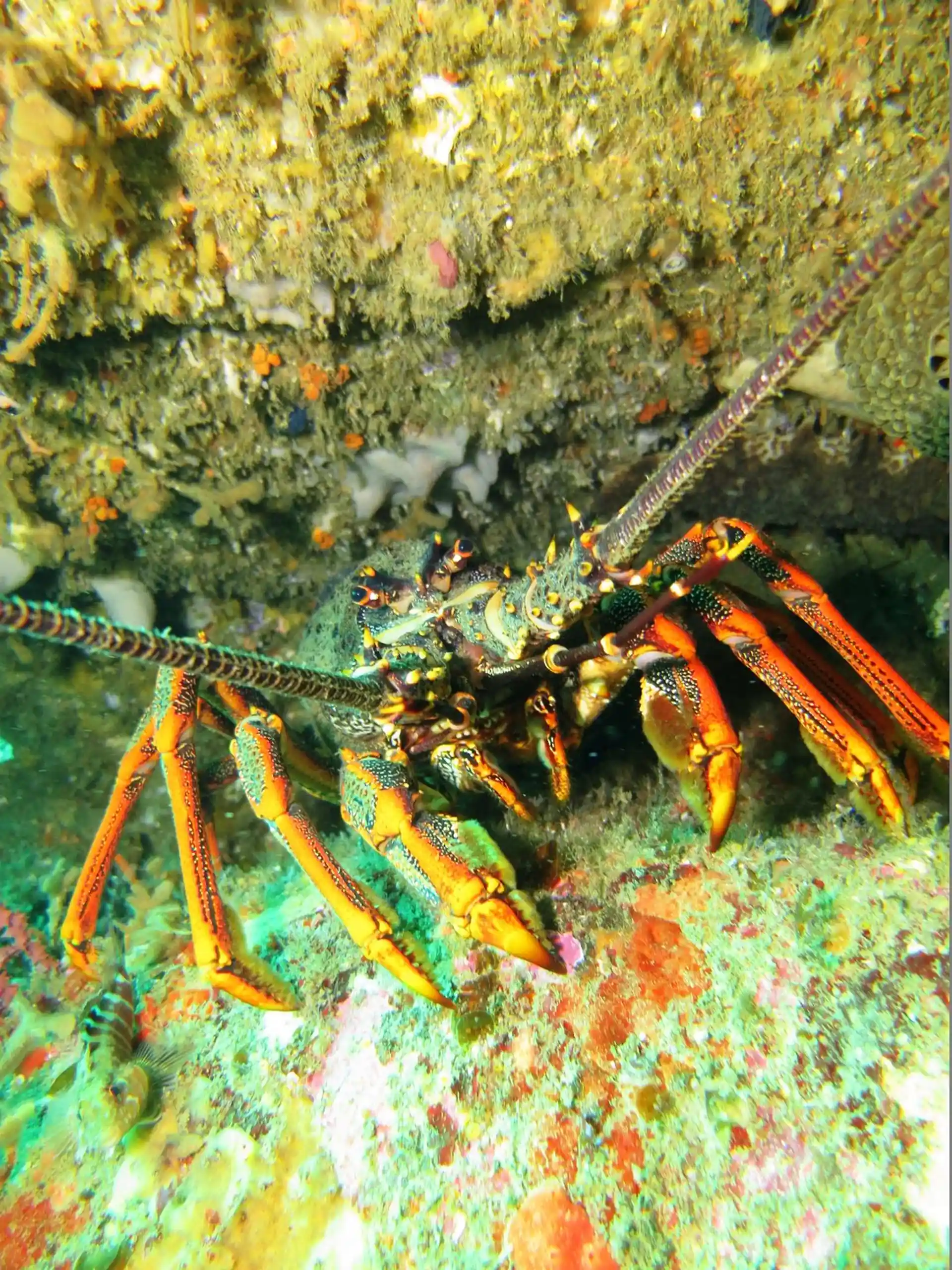 Dive site photo