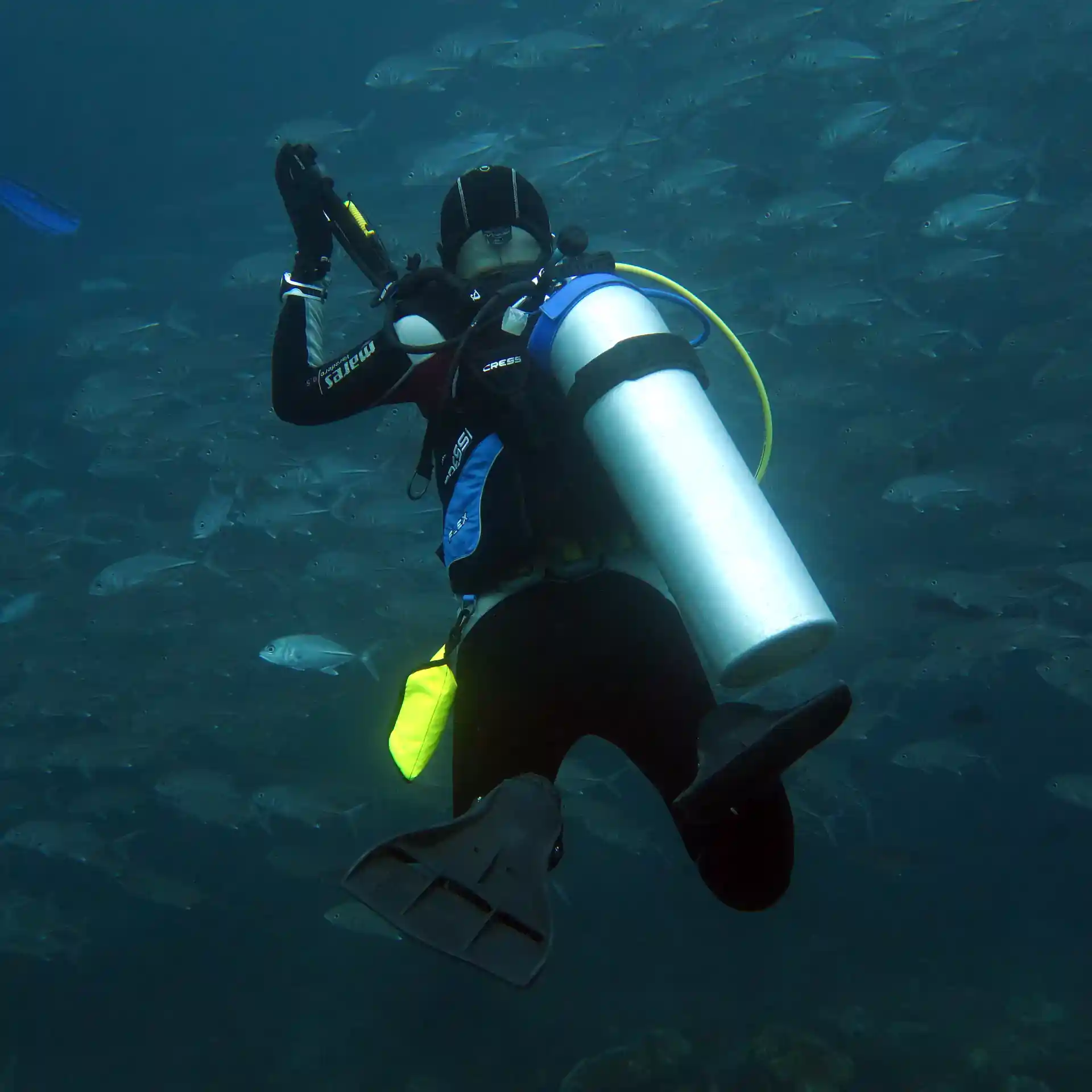 Dive shop photo