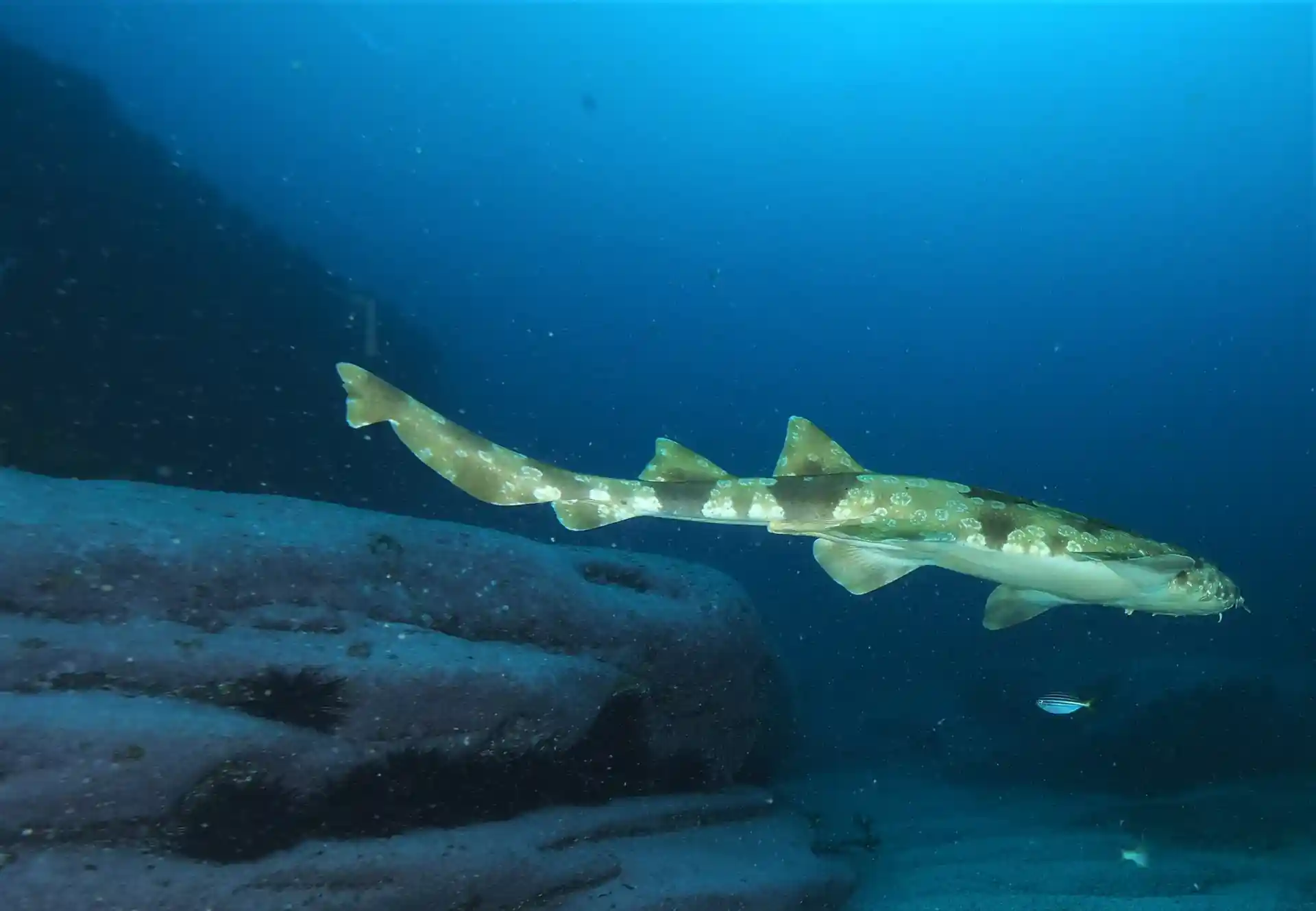 Dive site photo