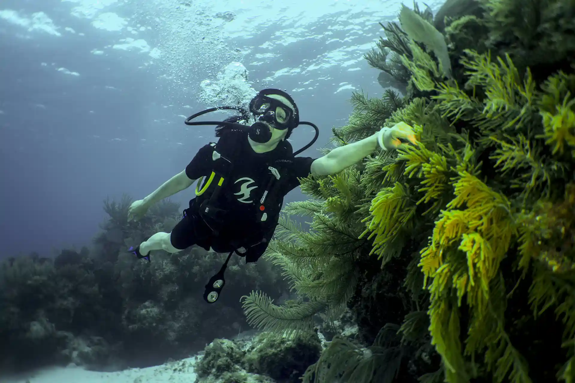 Foto del sitio de buceo