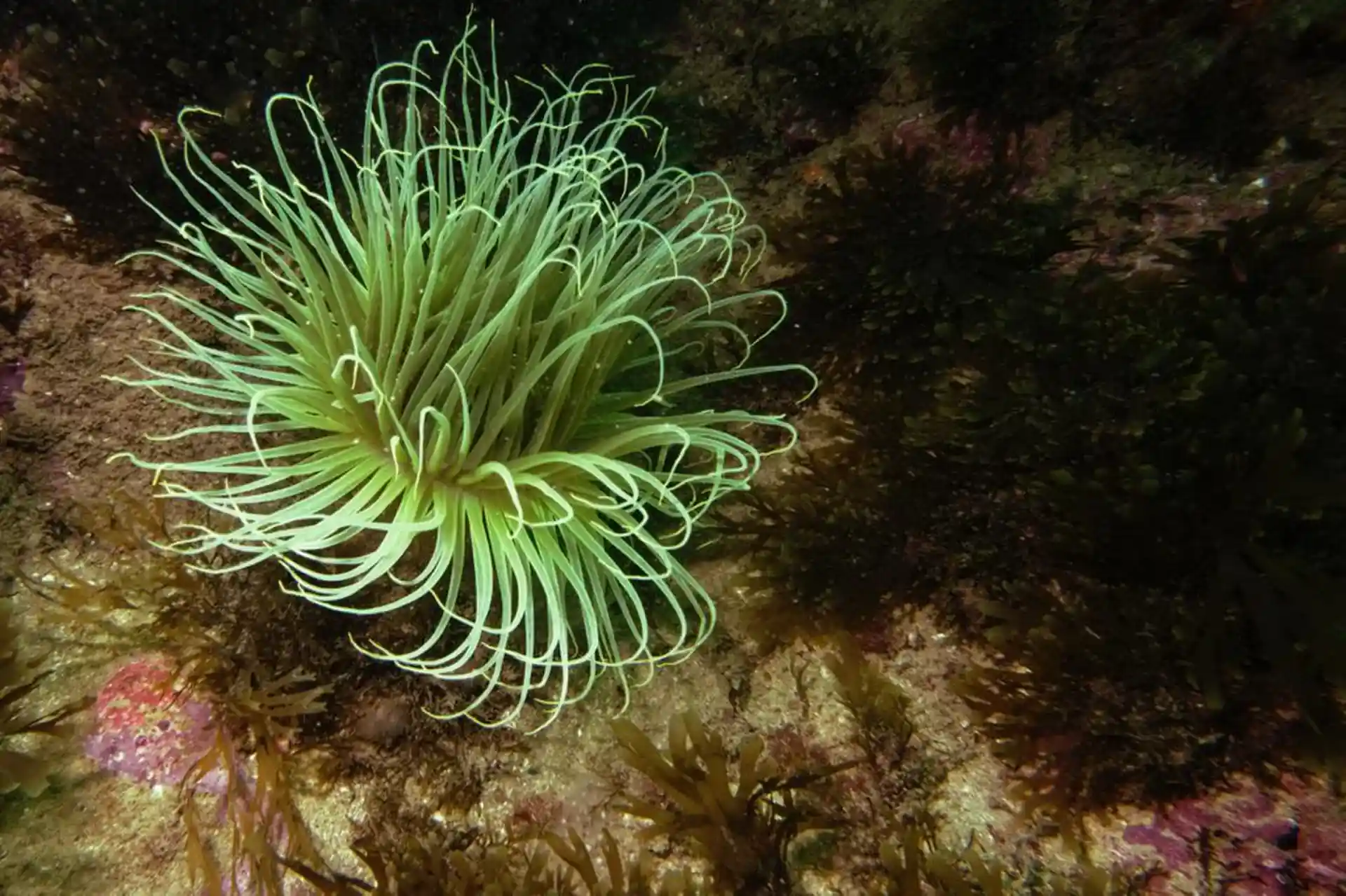 Foto des Tauchplatzes