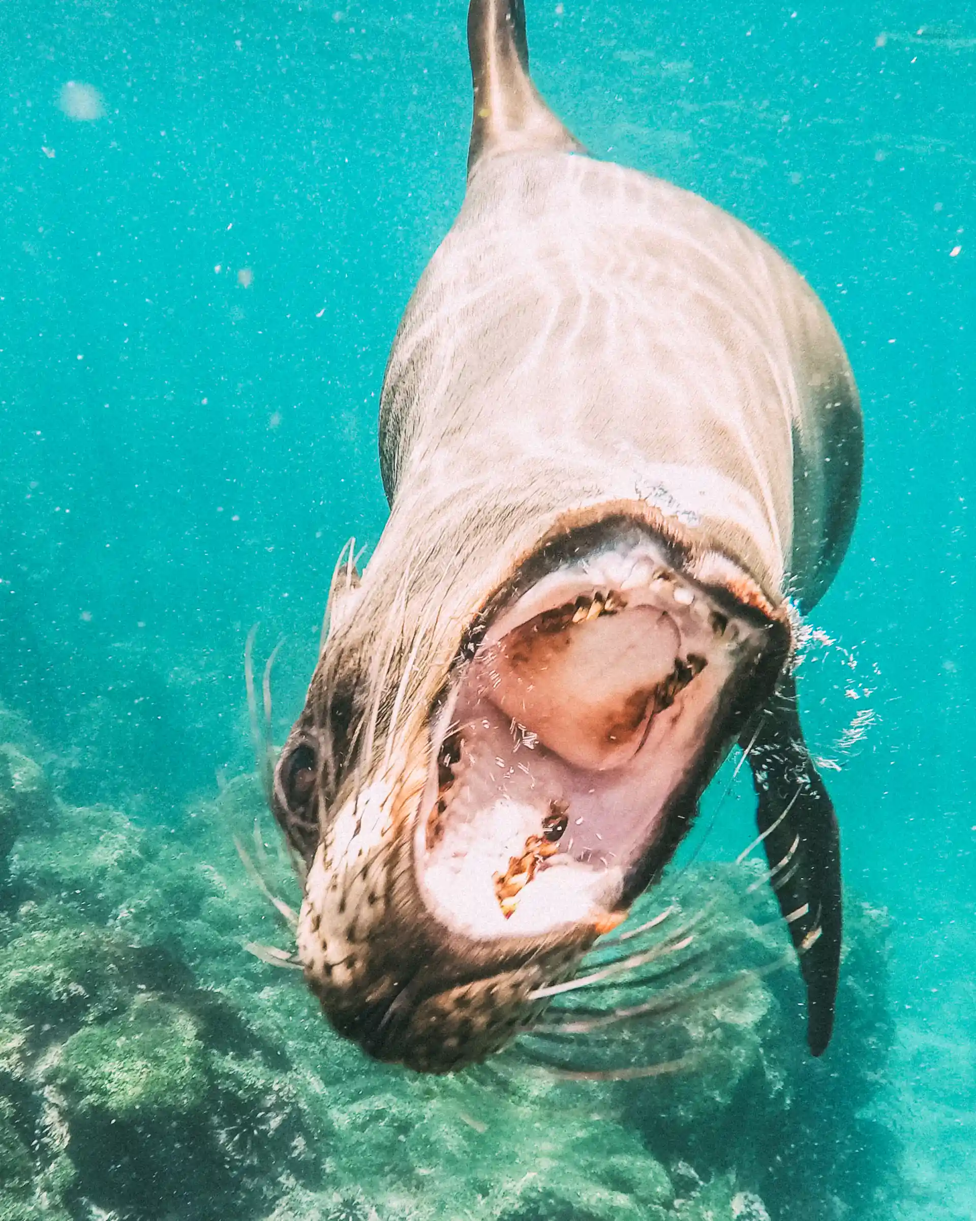Dive shop photo