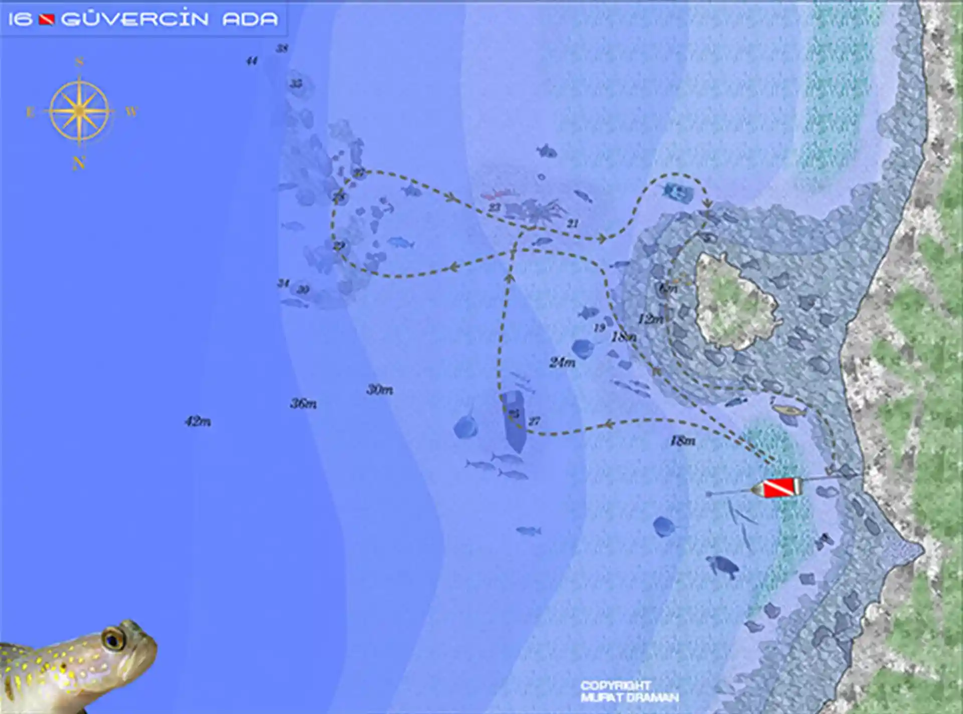 ダイビングサイトの写真