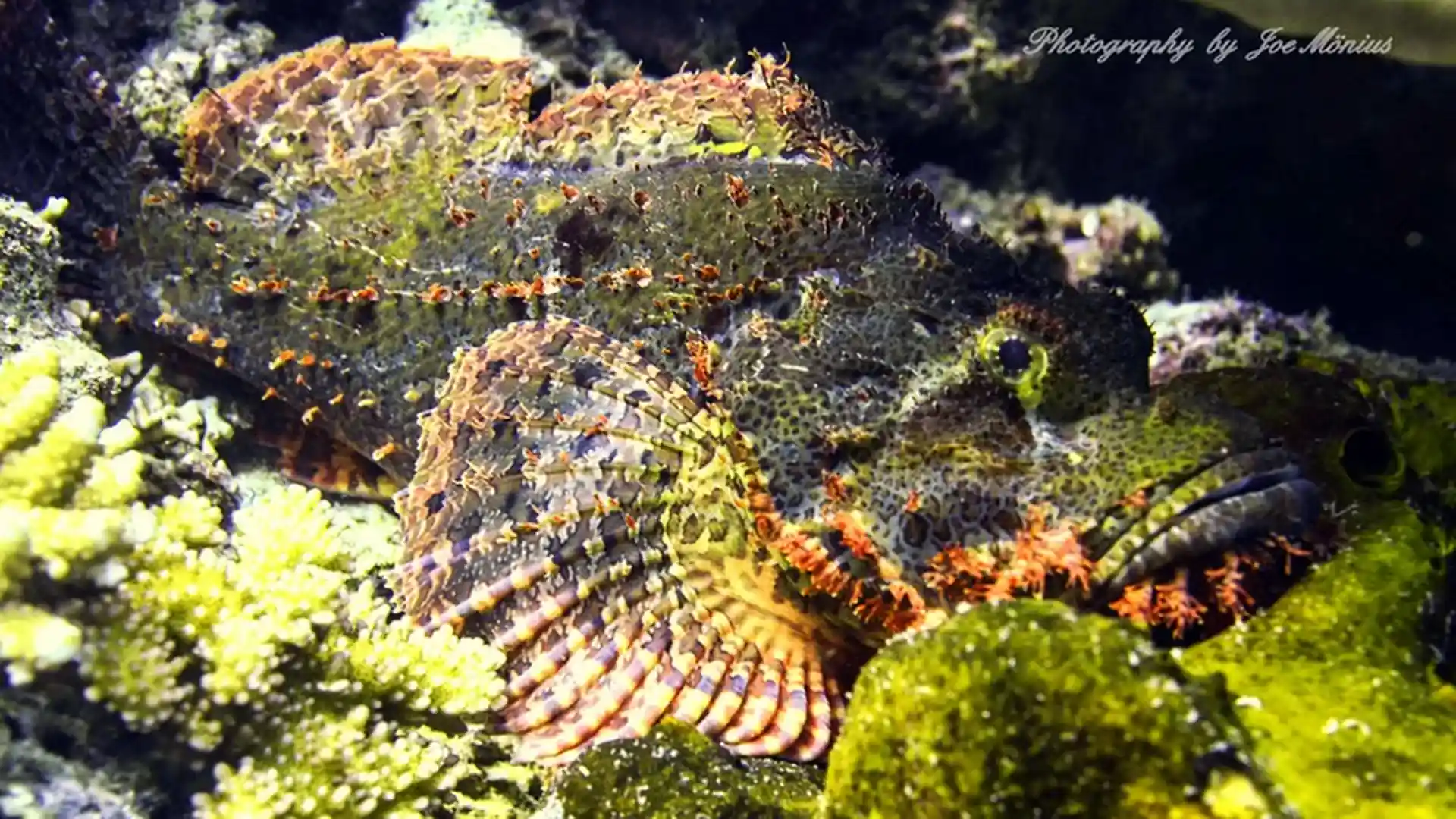 Foto van de duiklocatie