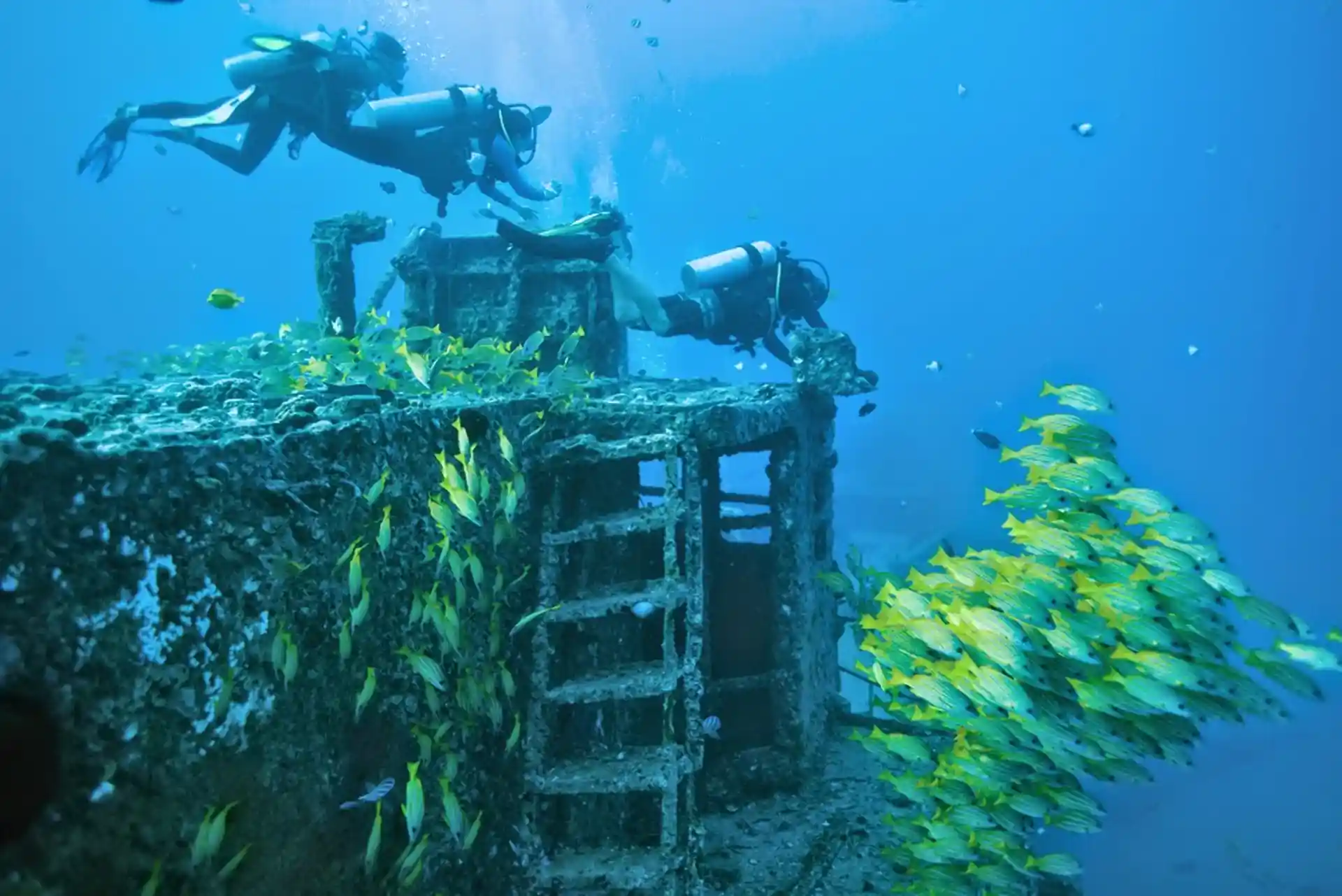 Foto de la actividad