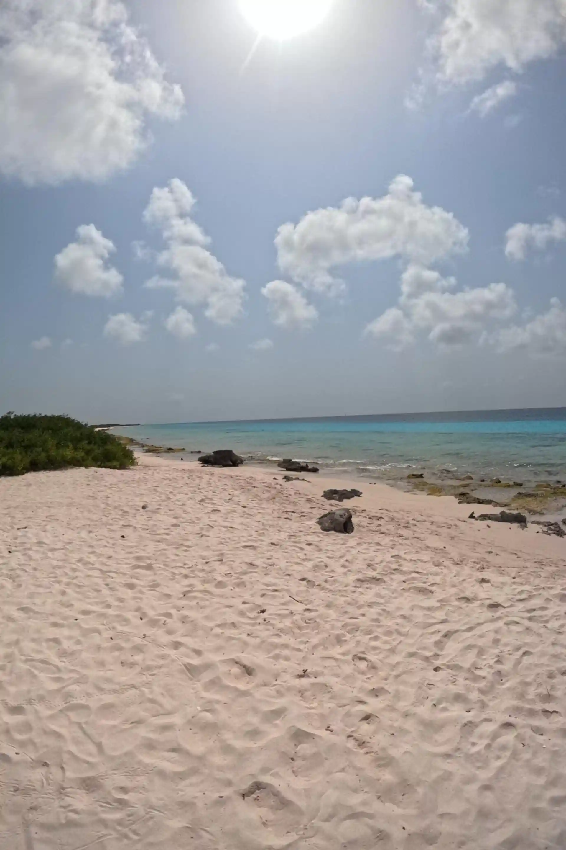 Dive site photo