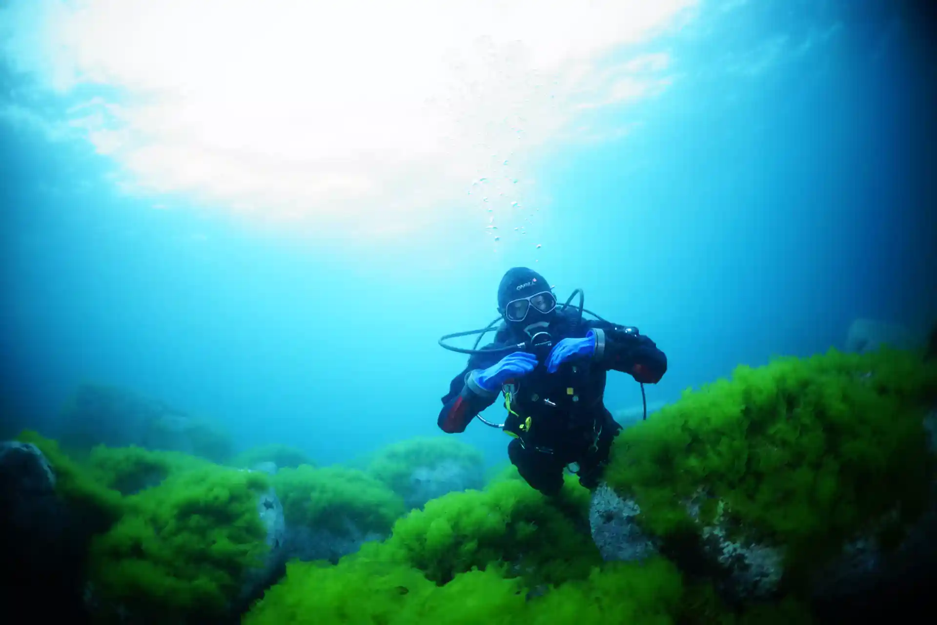 Dive shop photo